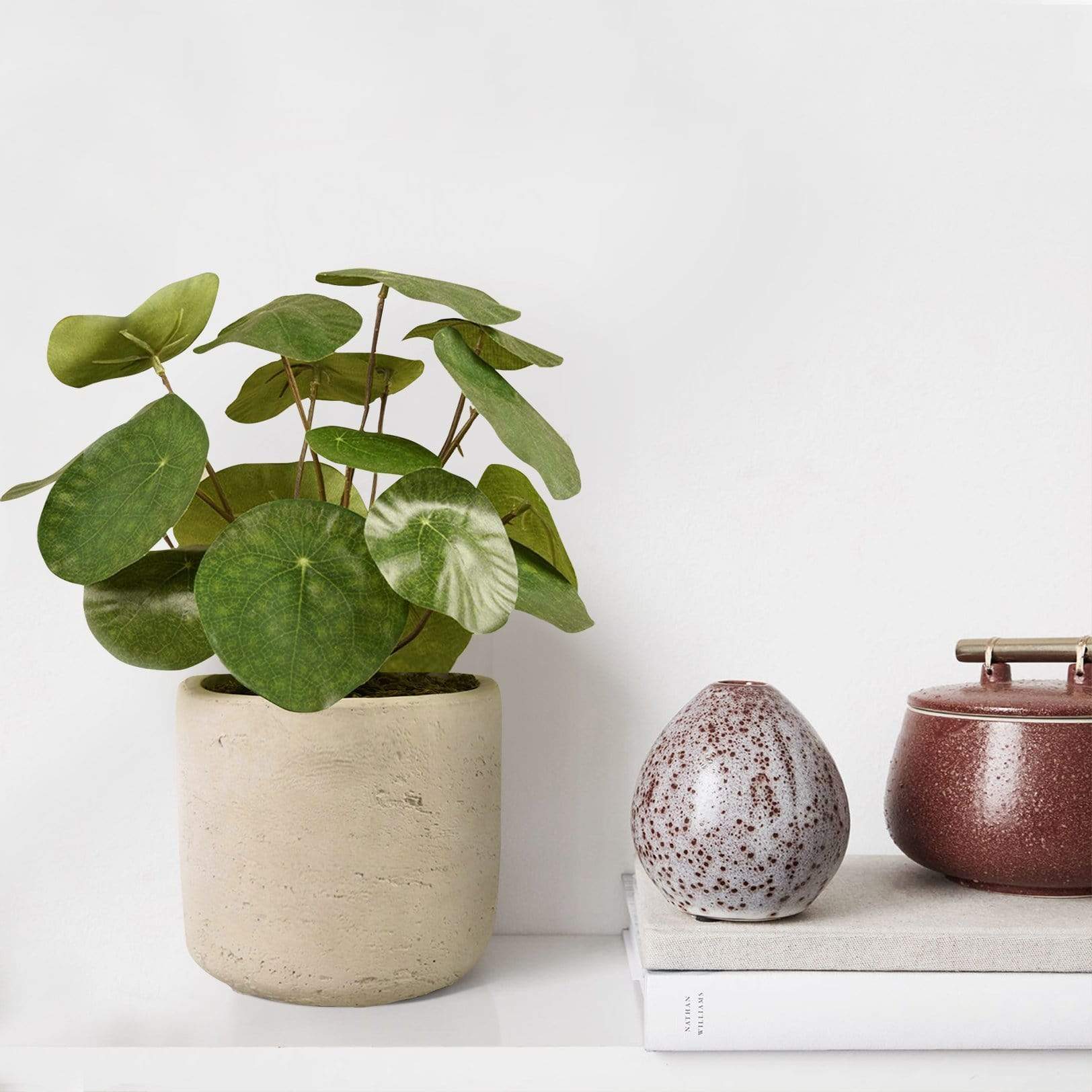 Artificial Pancake Plant in Pot - Image 5