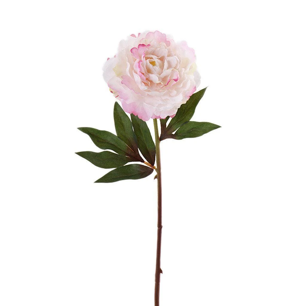 Peony