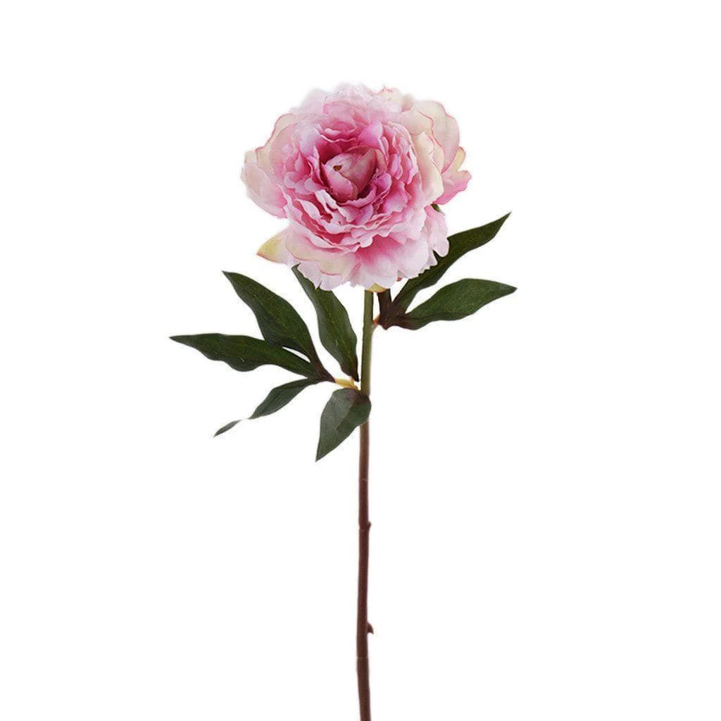 Peony
