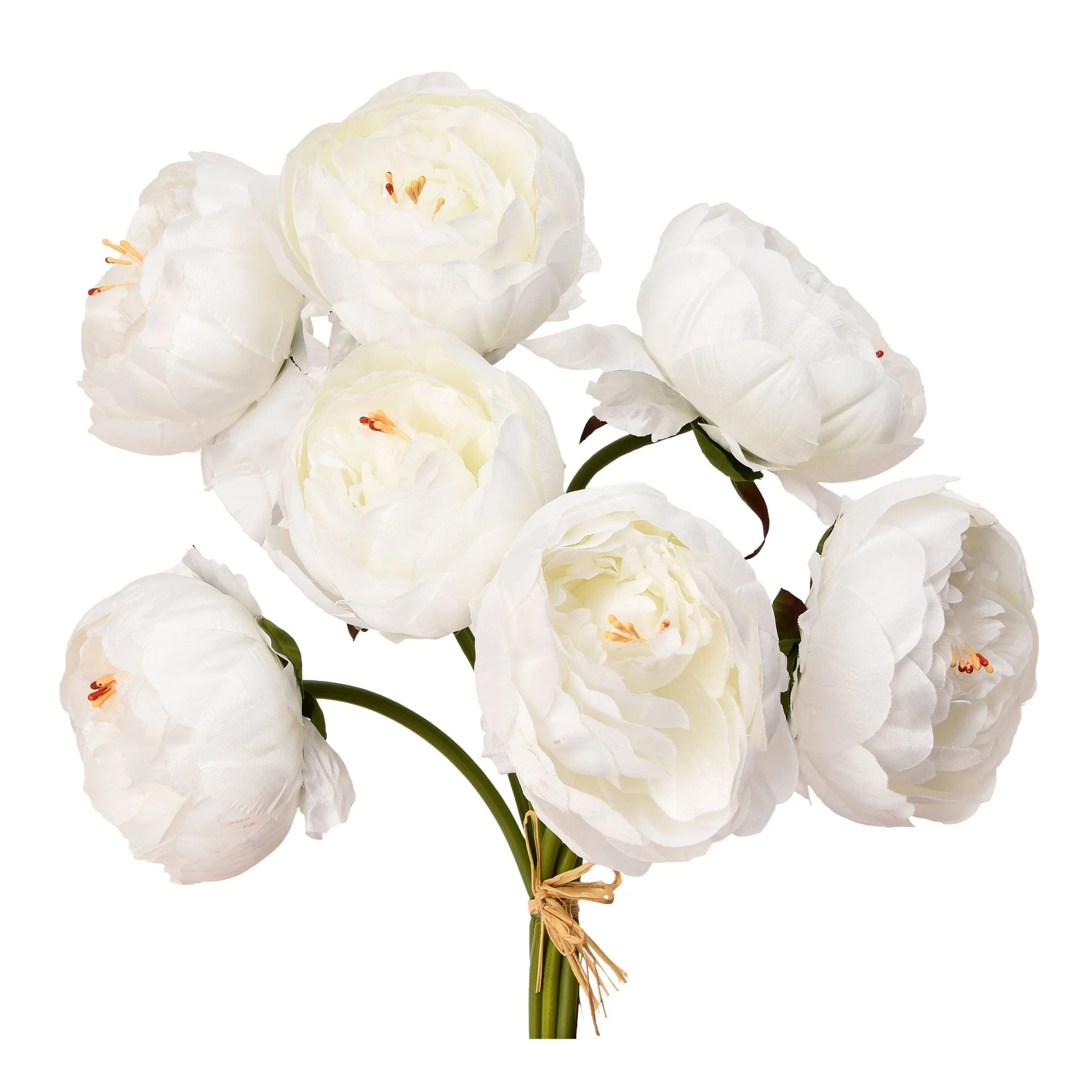 Peony