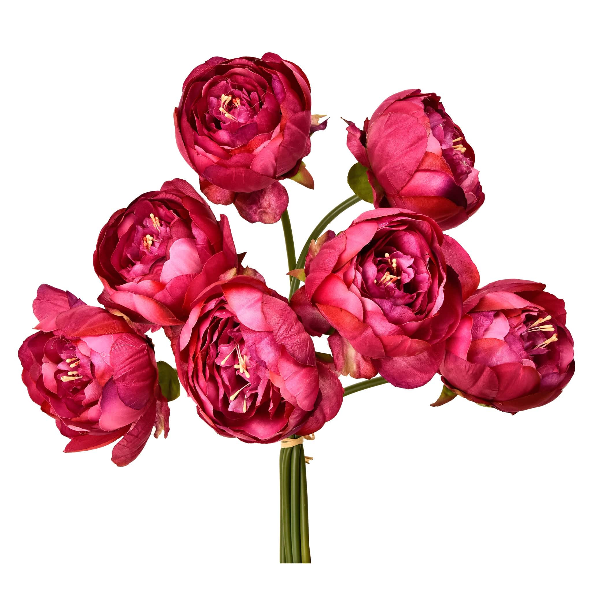 Peony - Image 4