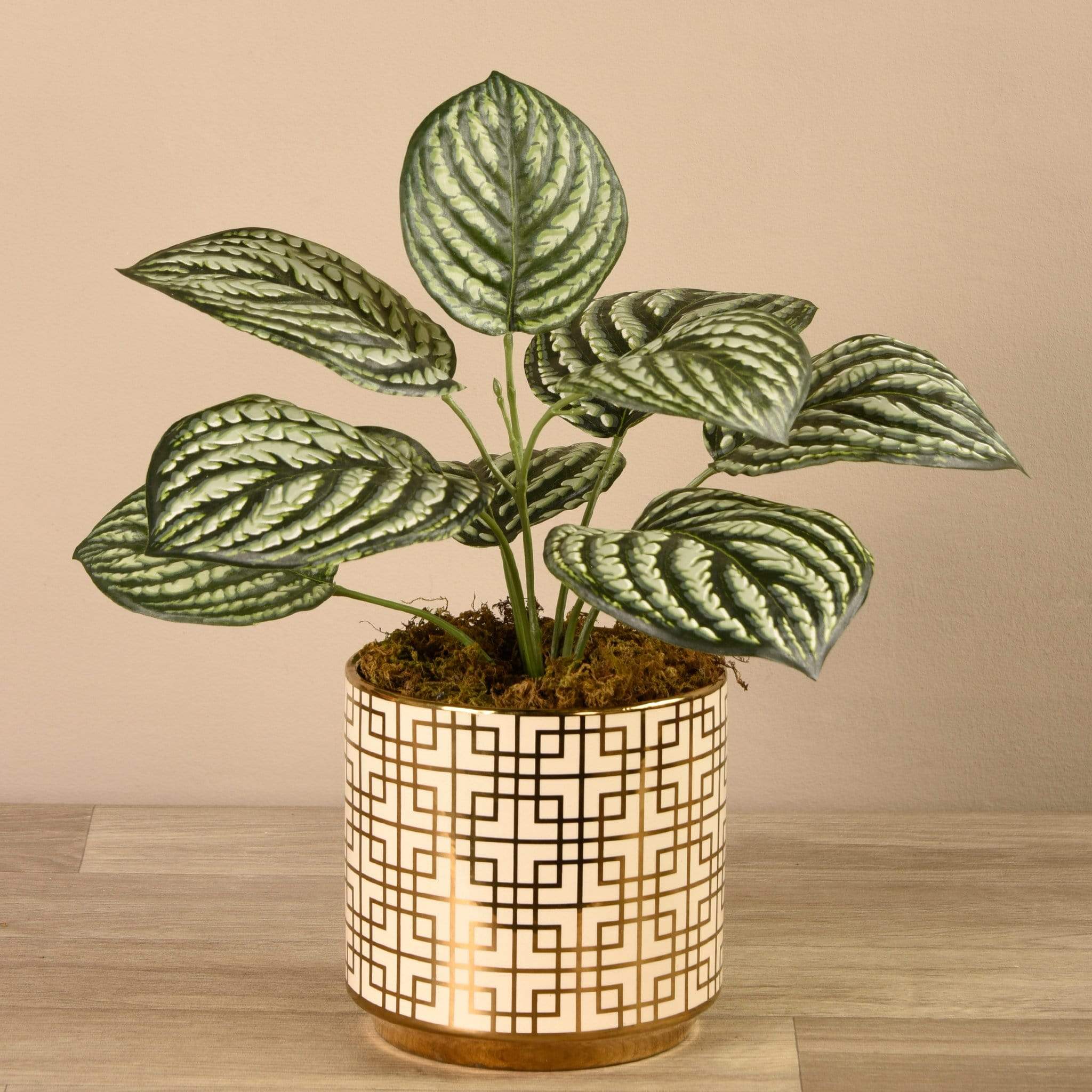 Artificial Peperomia in White & Gold Pot
