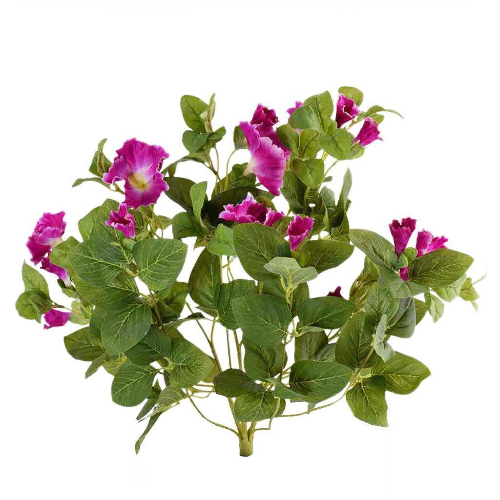 Petunia - Image 2