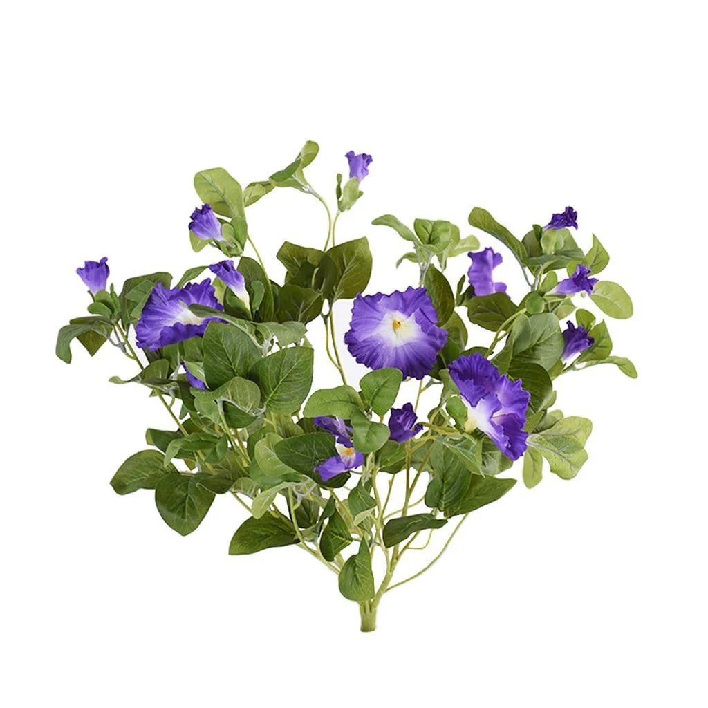 Petunia - Image 3