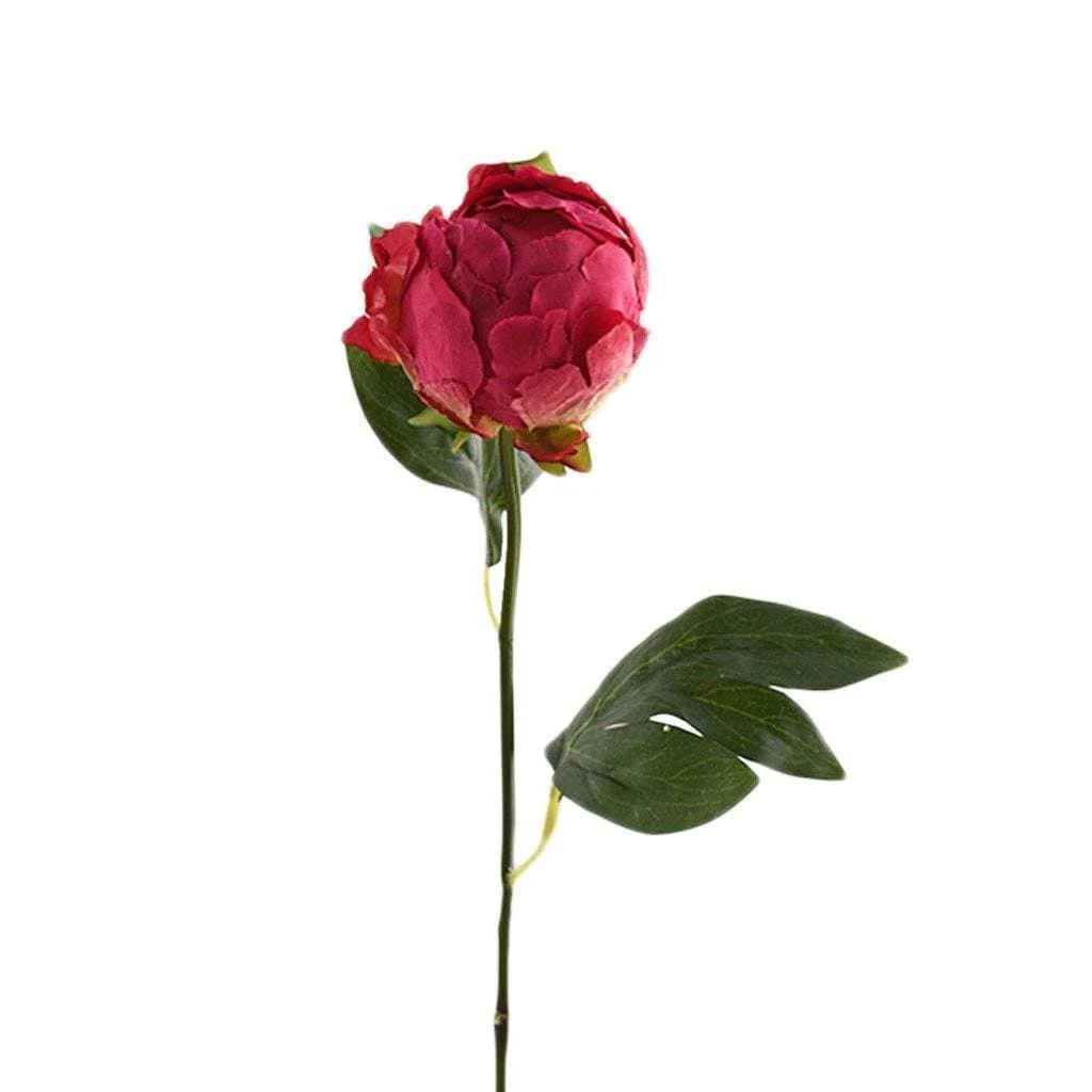 Peony Bud - Image 2