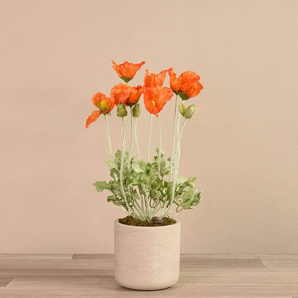 Artificial Potted Poppy - Image 2
