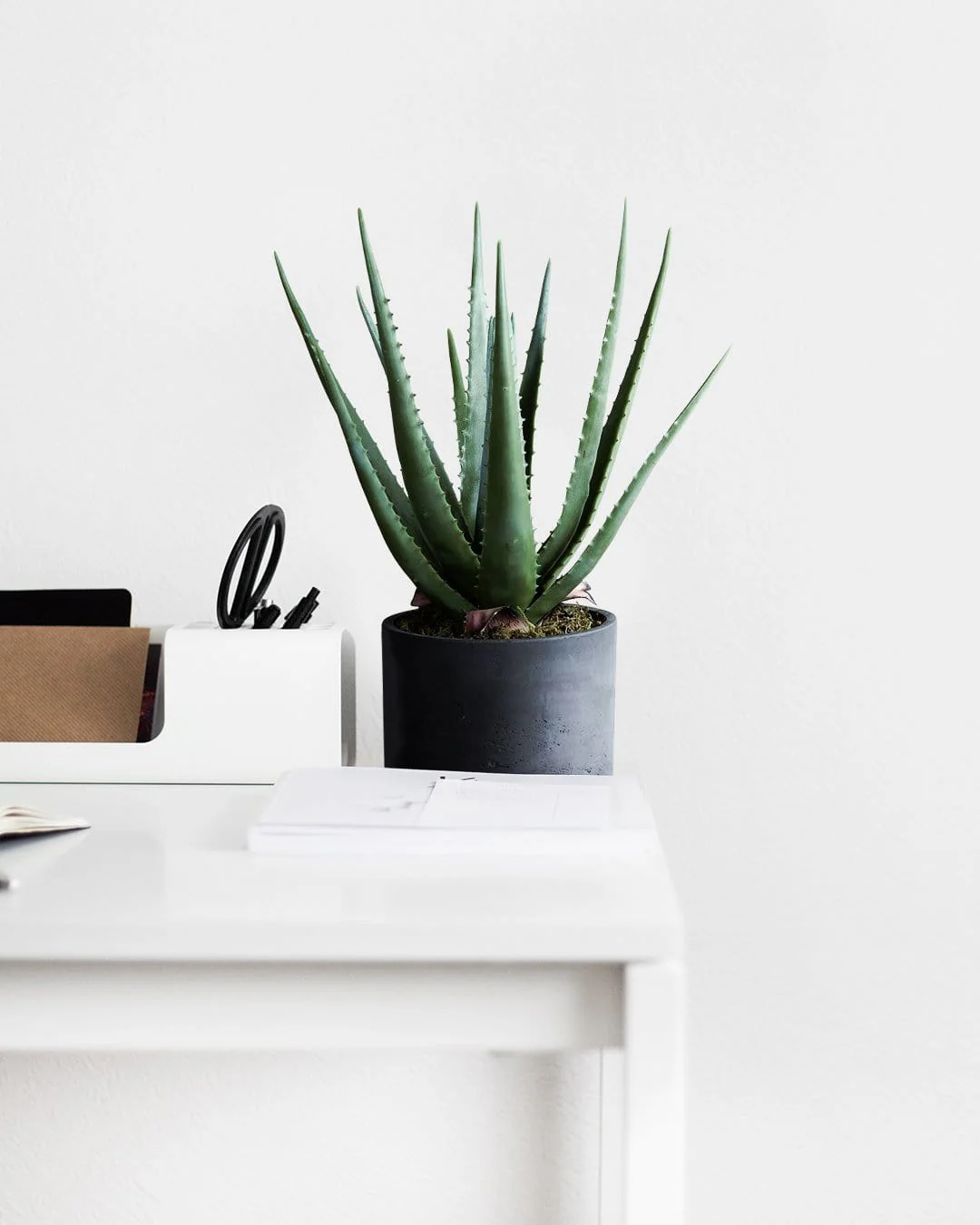 Artificial Potted Aloe - Image 3