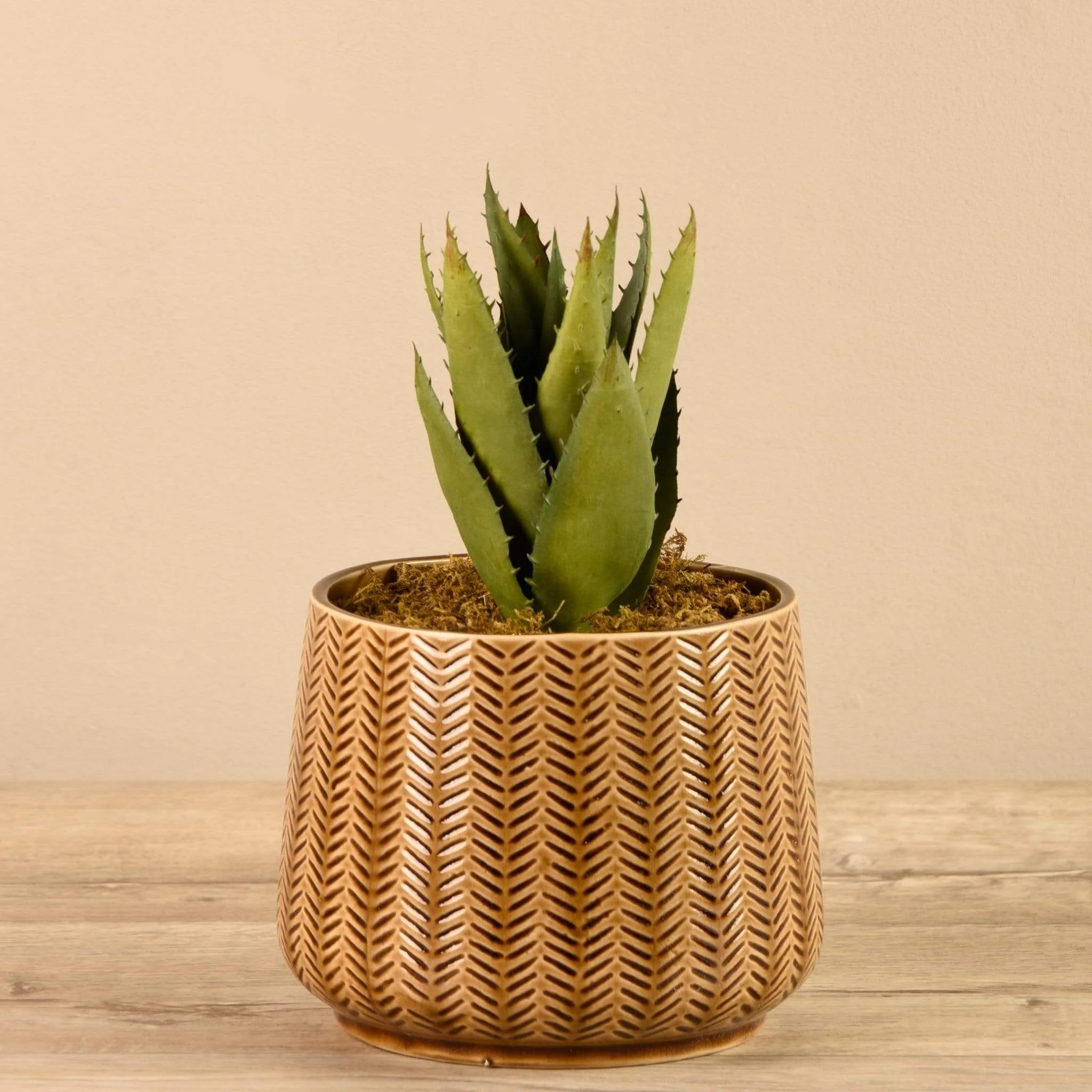 Artificial Potted Aloe - Image 2