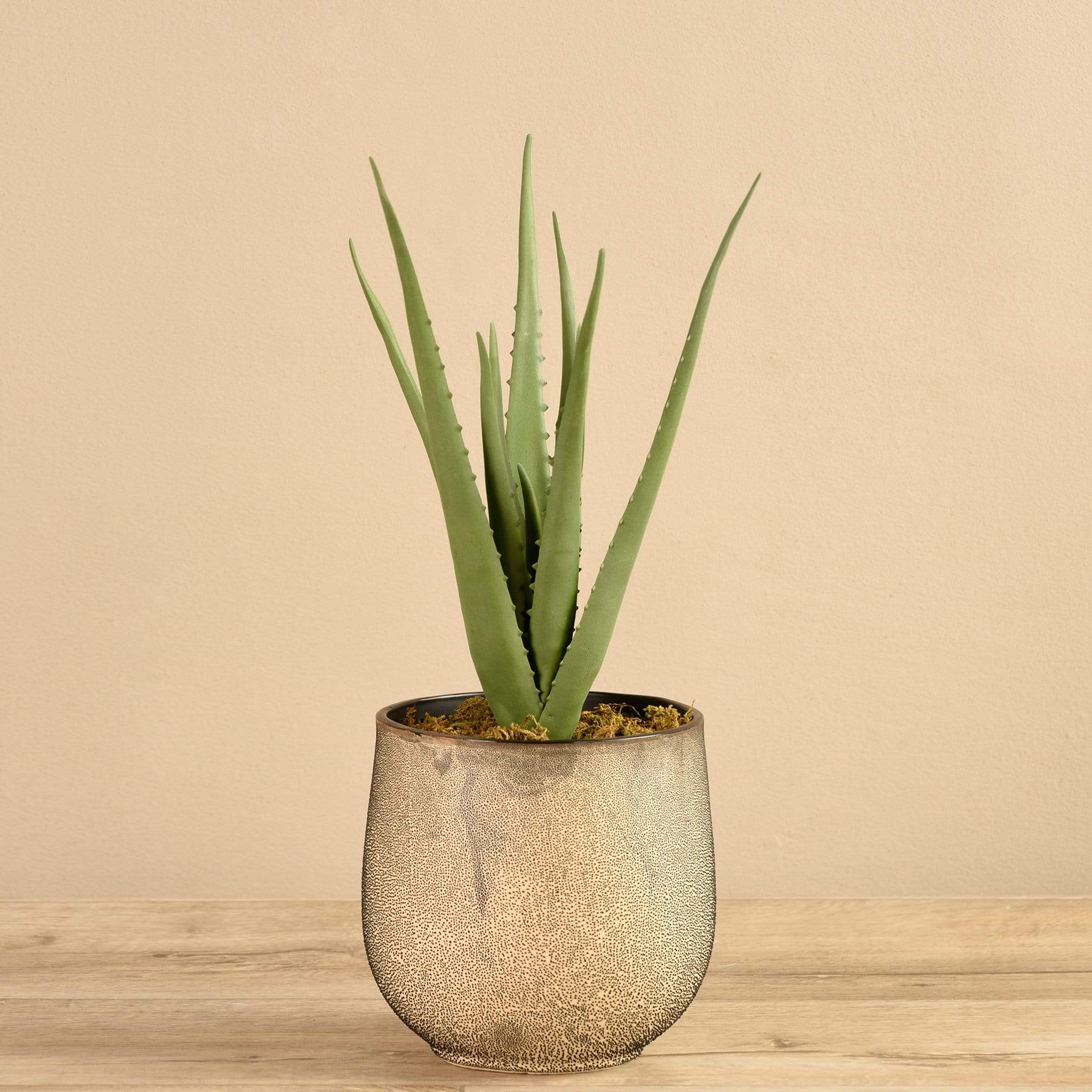 Artificial Potted Aloe - Image 2