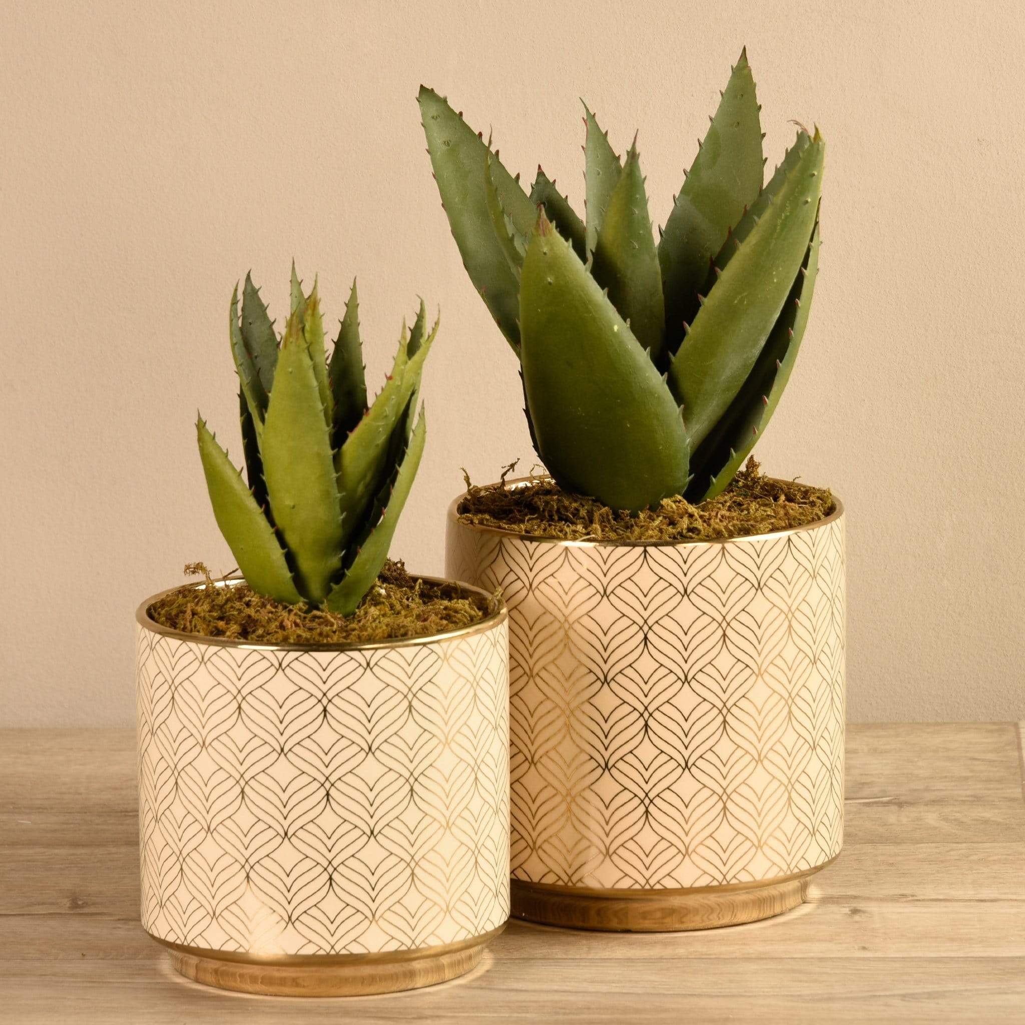 Artificial Potted Aloe
