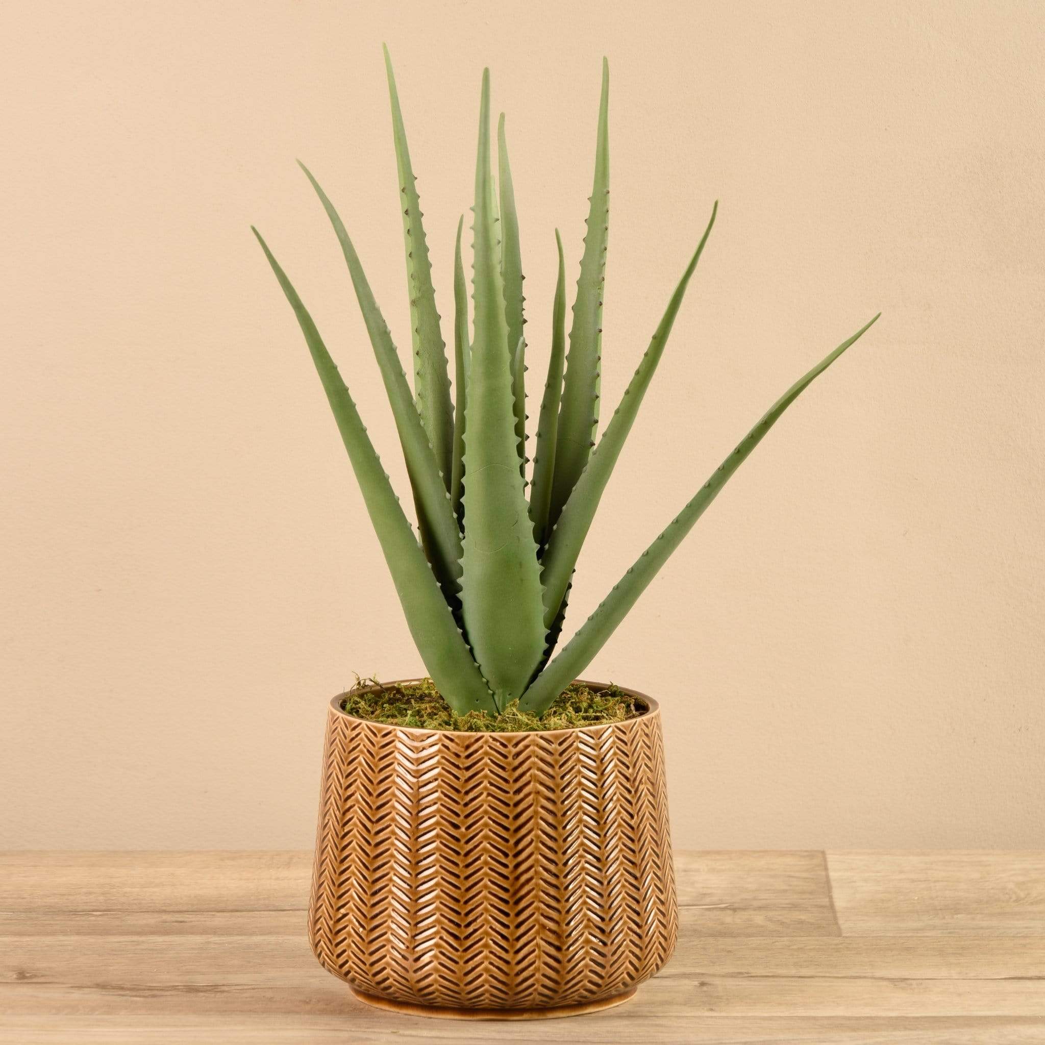 Artificial Potted Aloe - Image 3