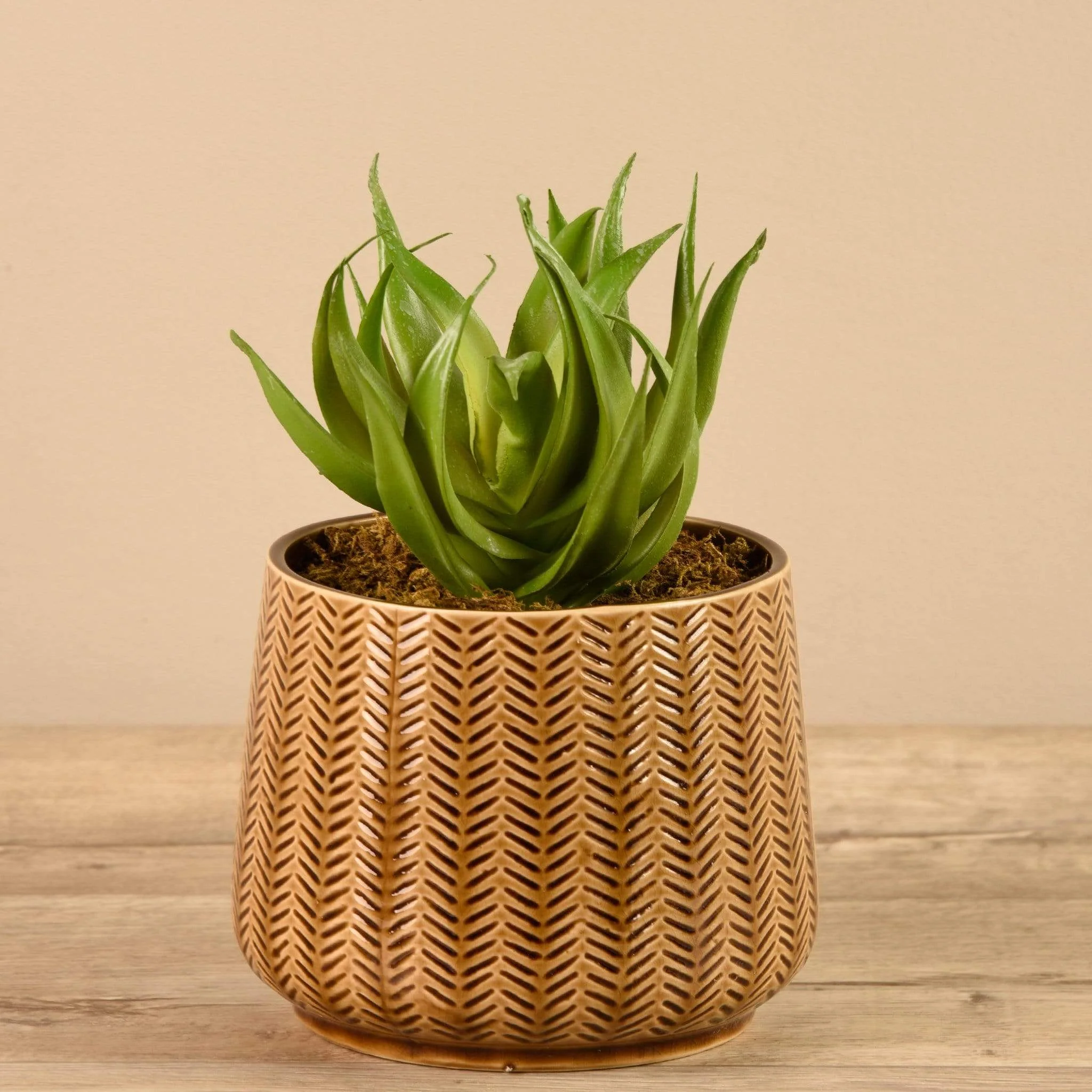 Artificial Potted Aloe
