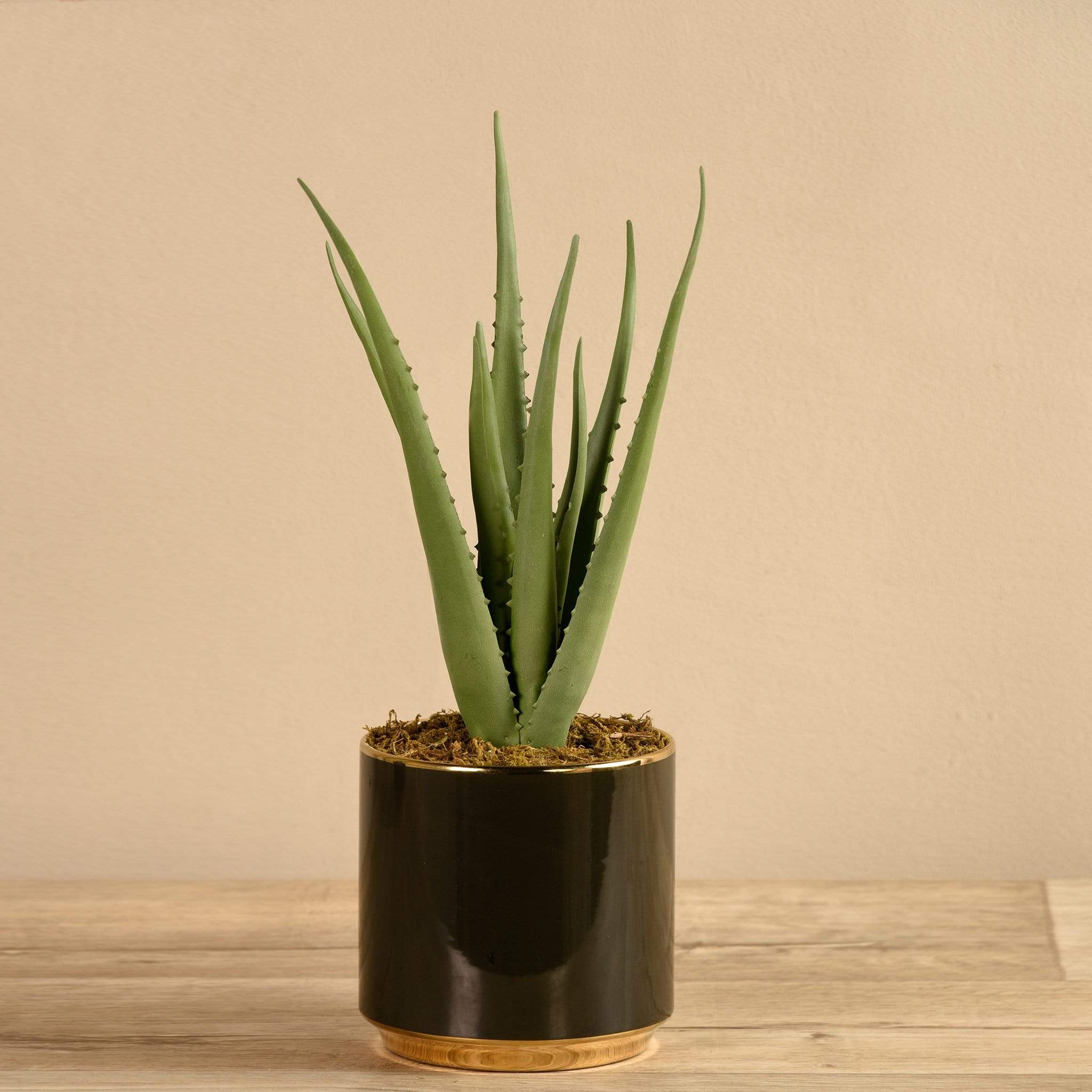 Artificial Potted Aloe - Image 2