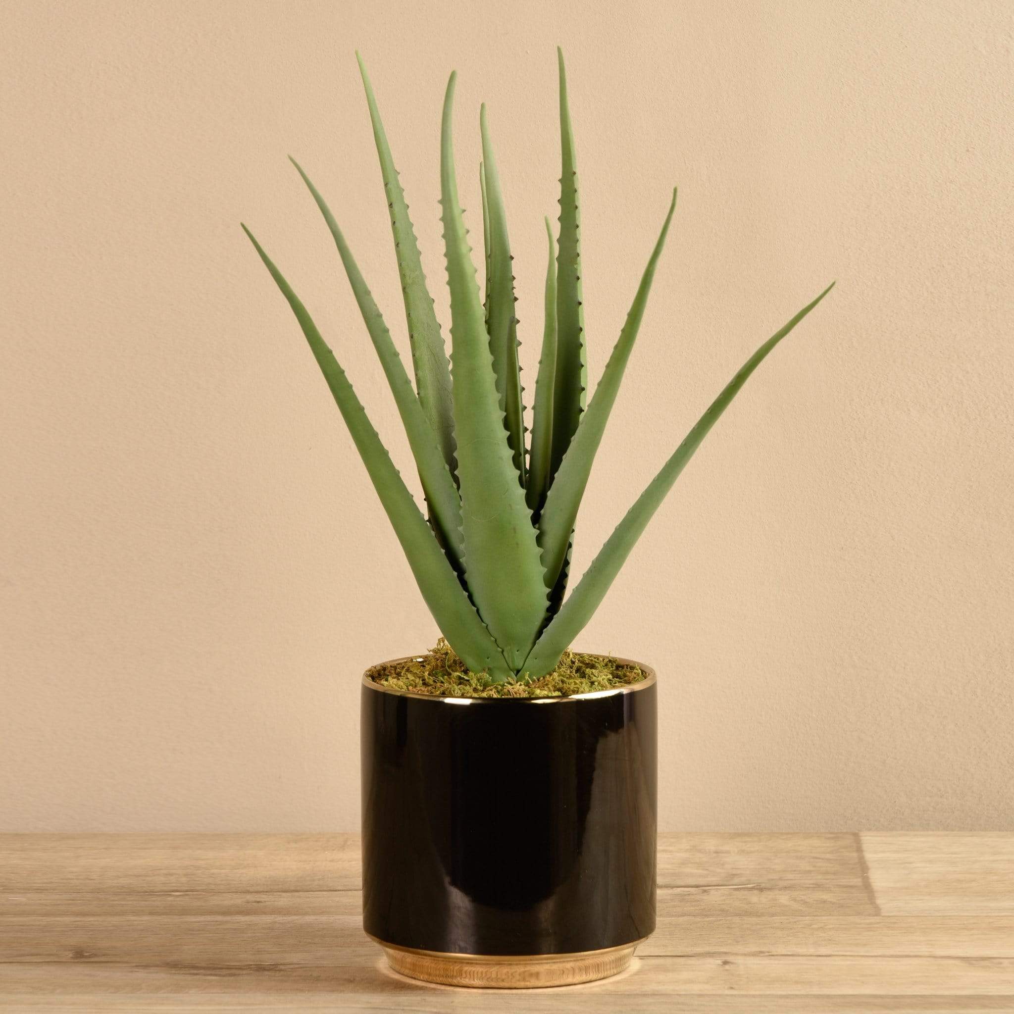 Artificial Potted Aloe - Image 3