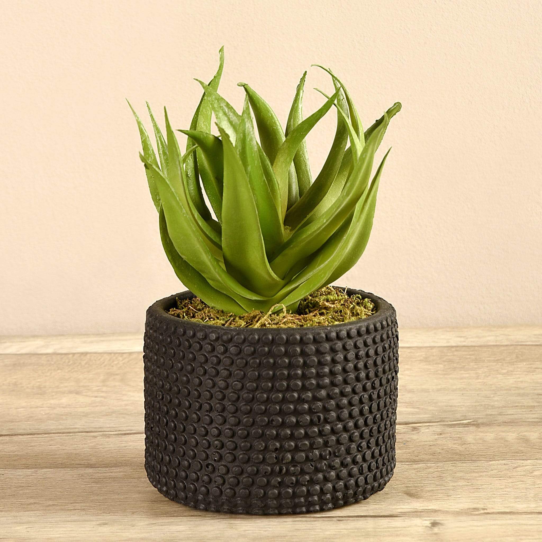 Artificial Potted Aloe