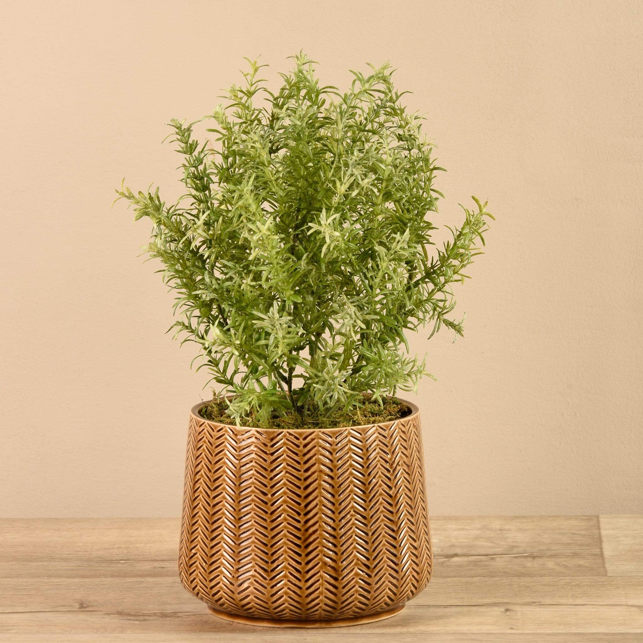 Artificial Potted Asparagus Fern