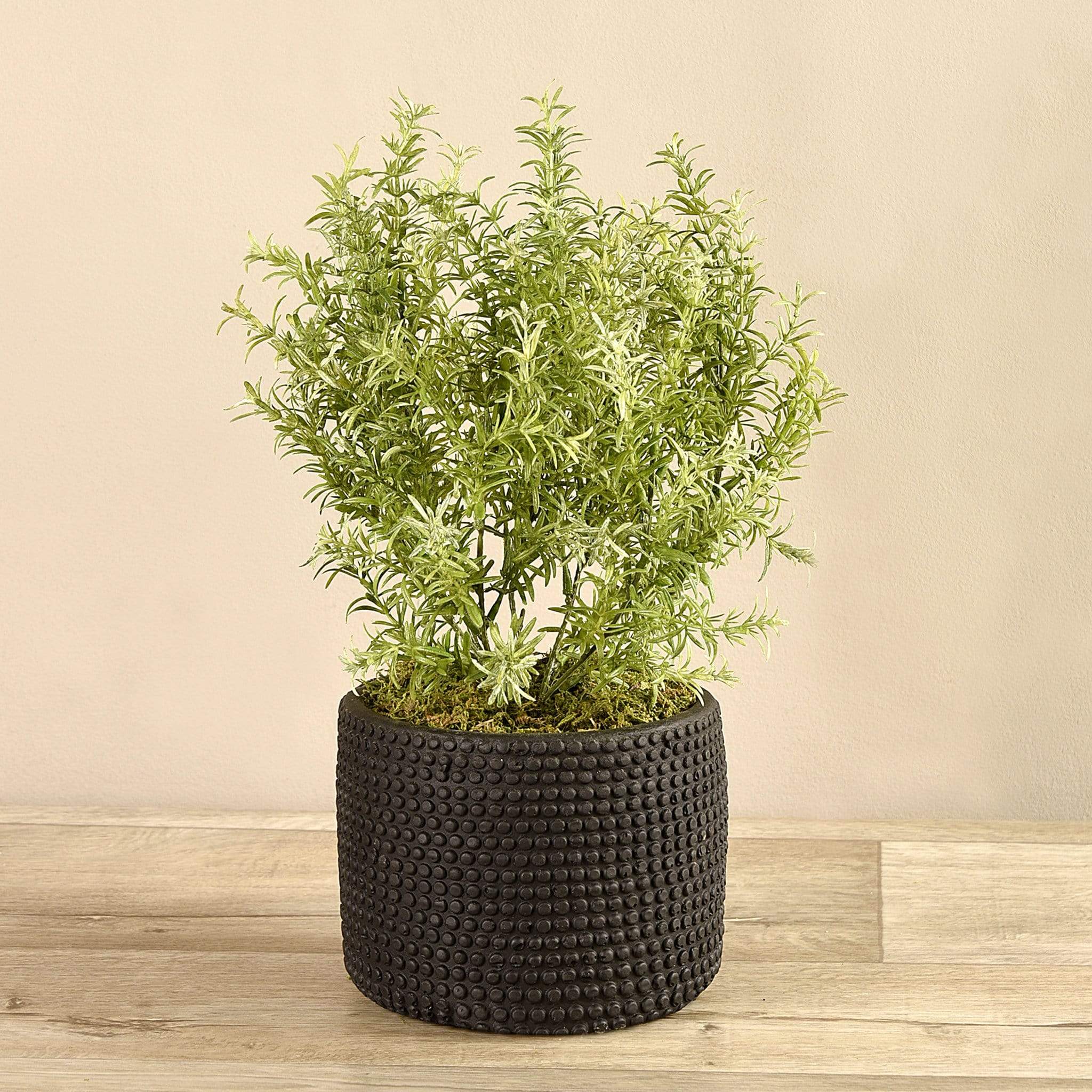 Artificial Potted Asparagus Fern