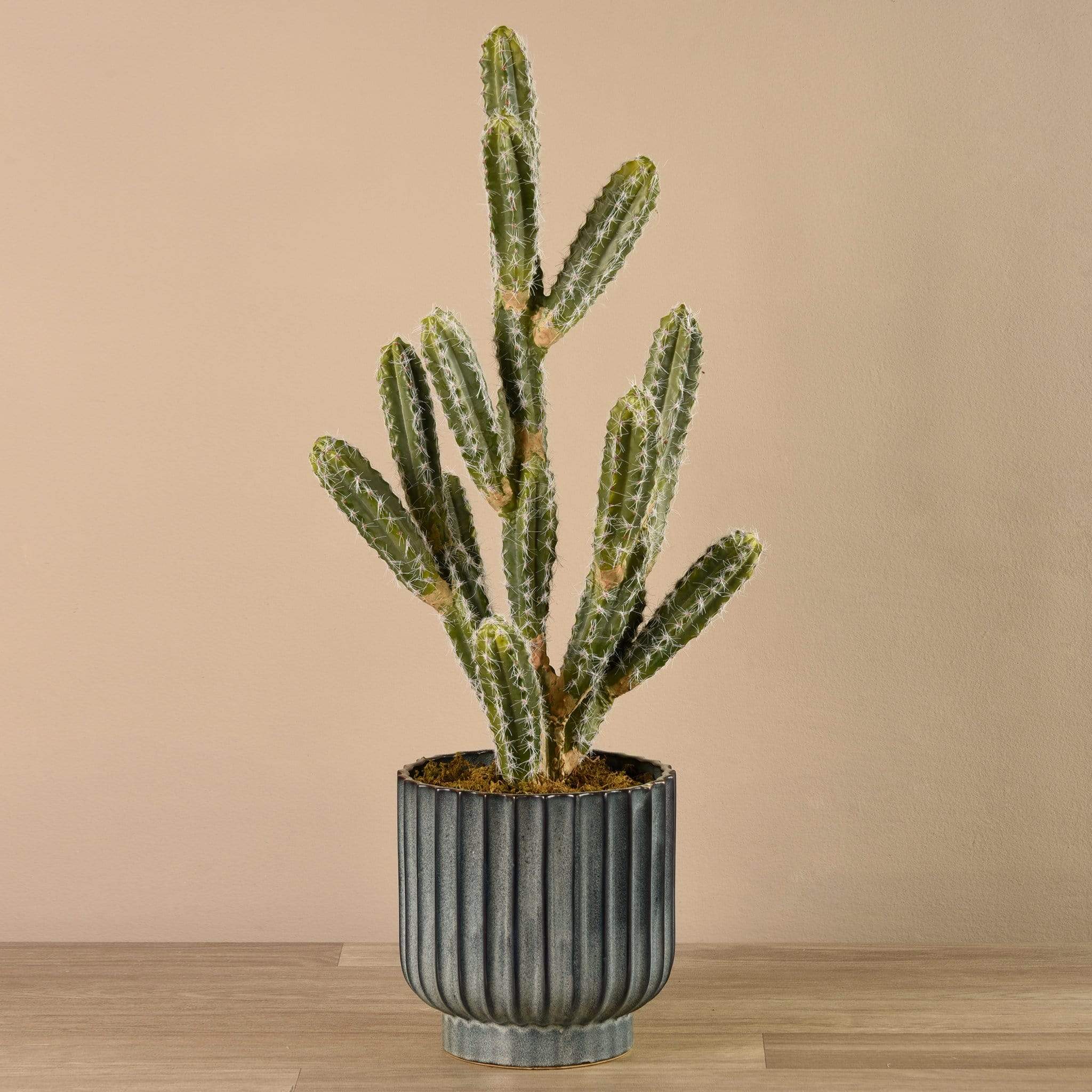 Potted Cactus - Image 3