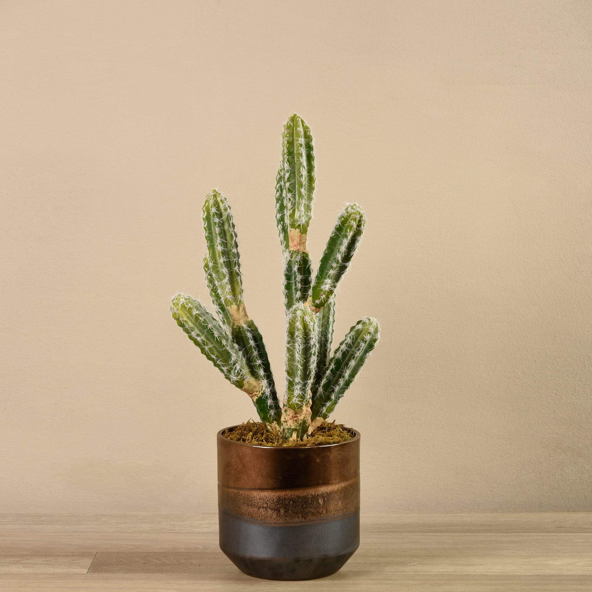 Artificial Potted Cactus - Image 2