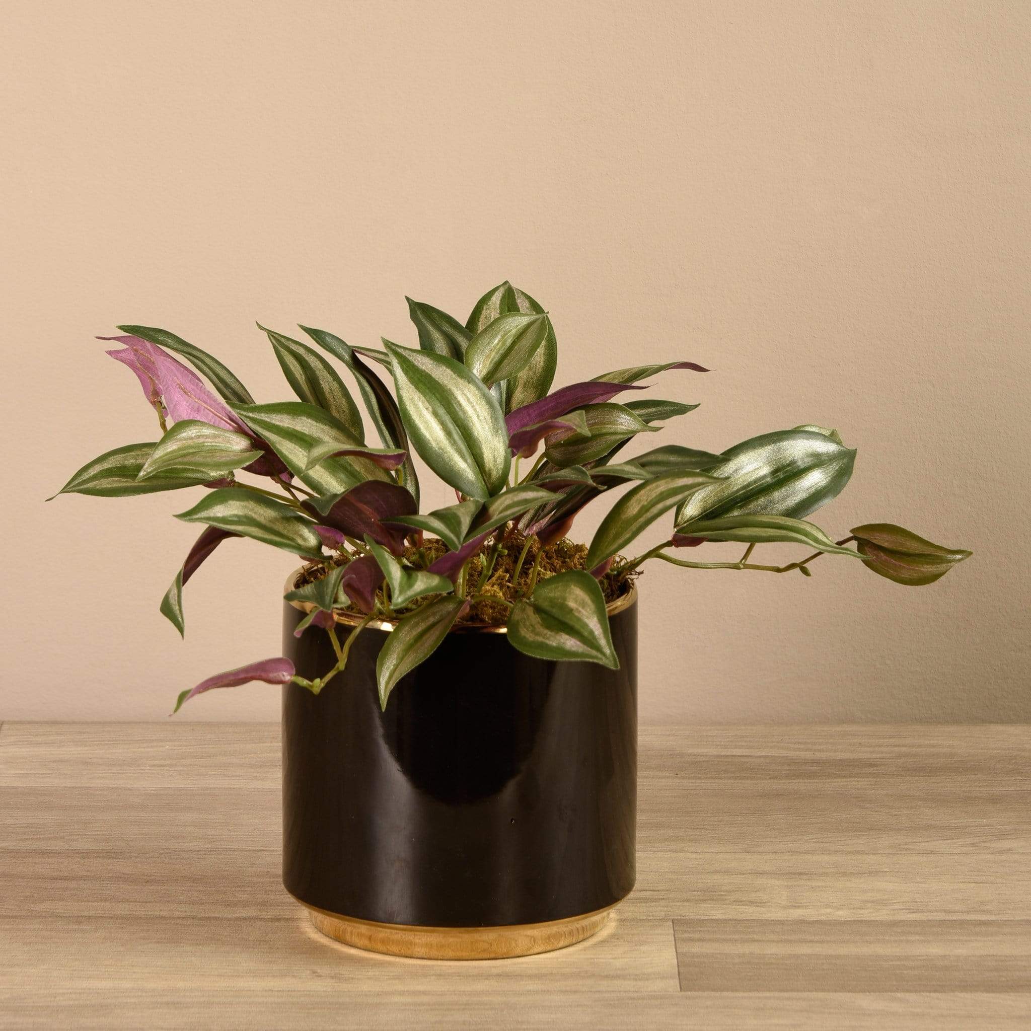 Artificial Potted Dark Vanilla Leaf - Image 2