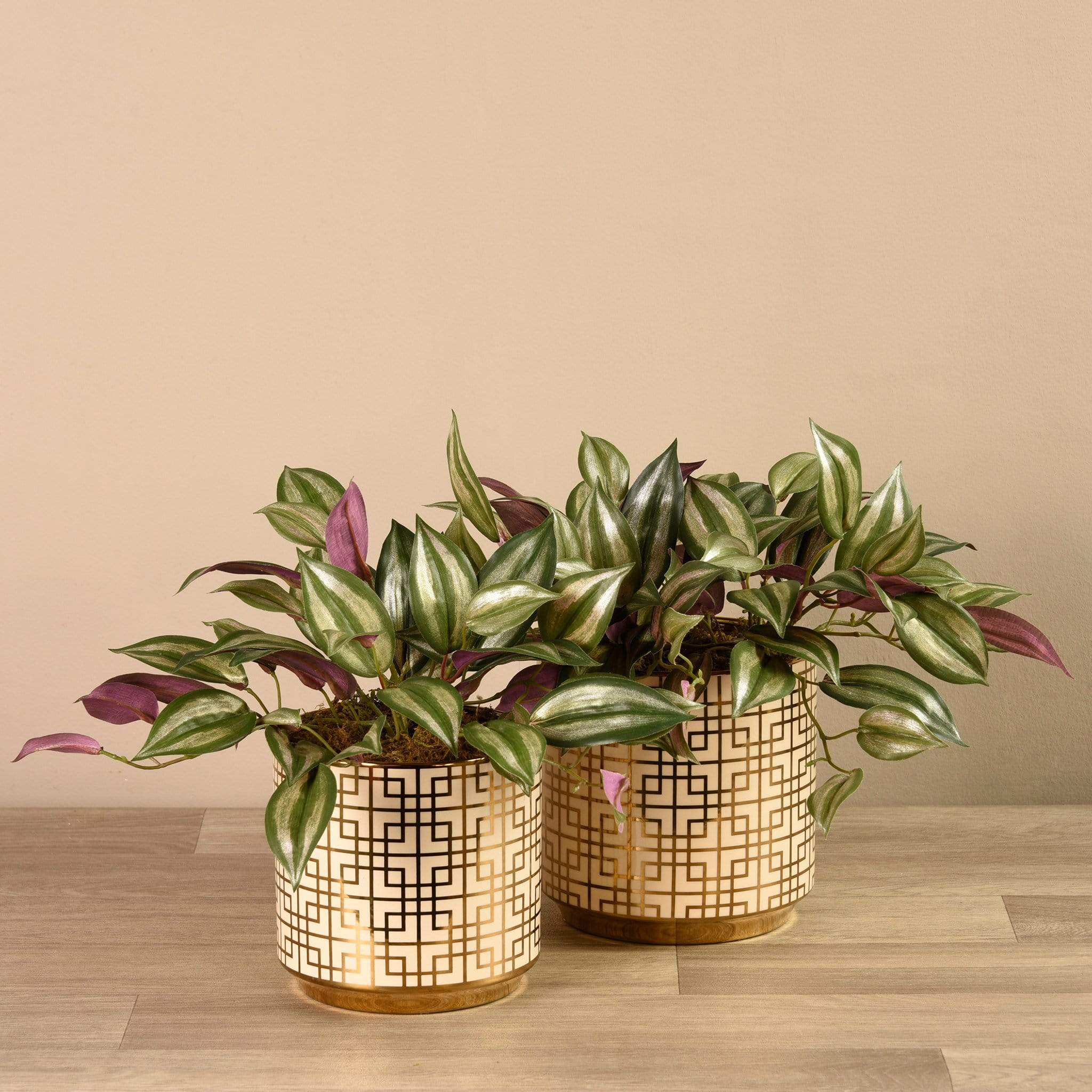 Artificial Potted Dark Vanilla Leaf Plant