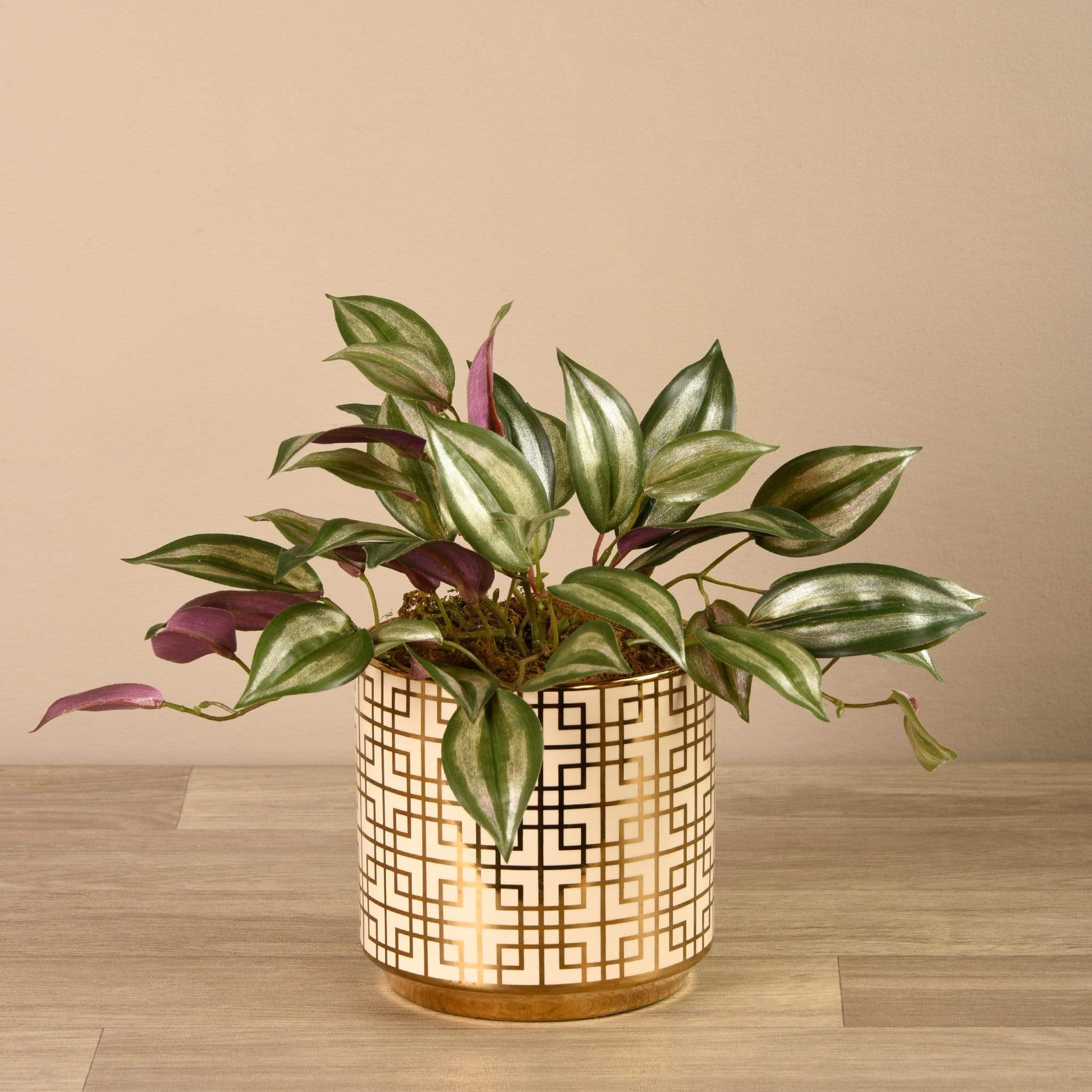 Artificial Potted Dark Vanilla Leaf Plant - Image 2