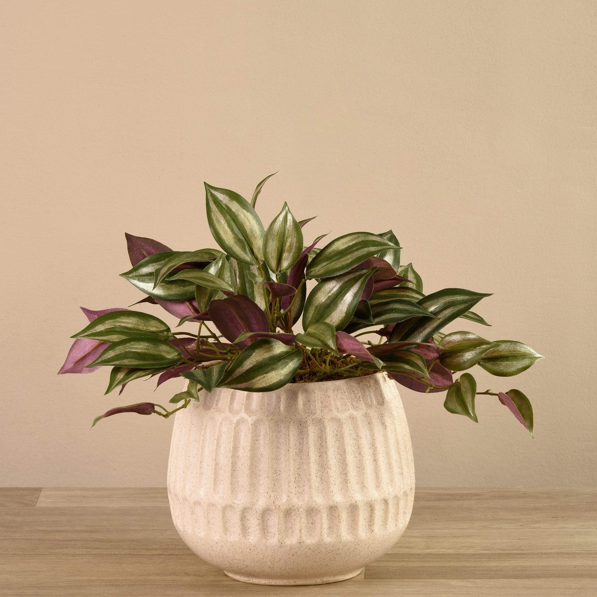 Artificial Potted Dark Vanilla Leaf Plant - Image 3