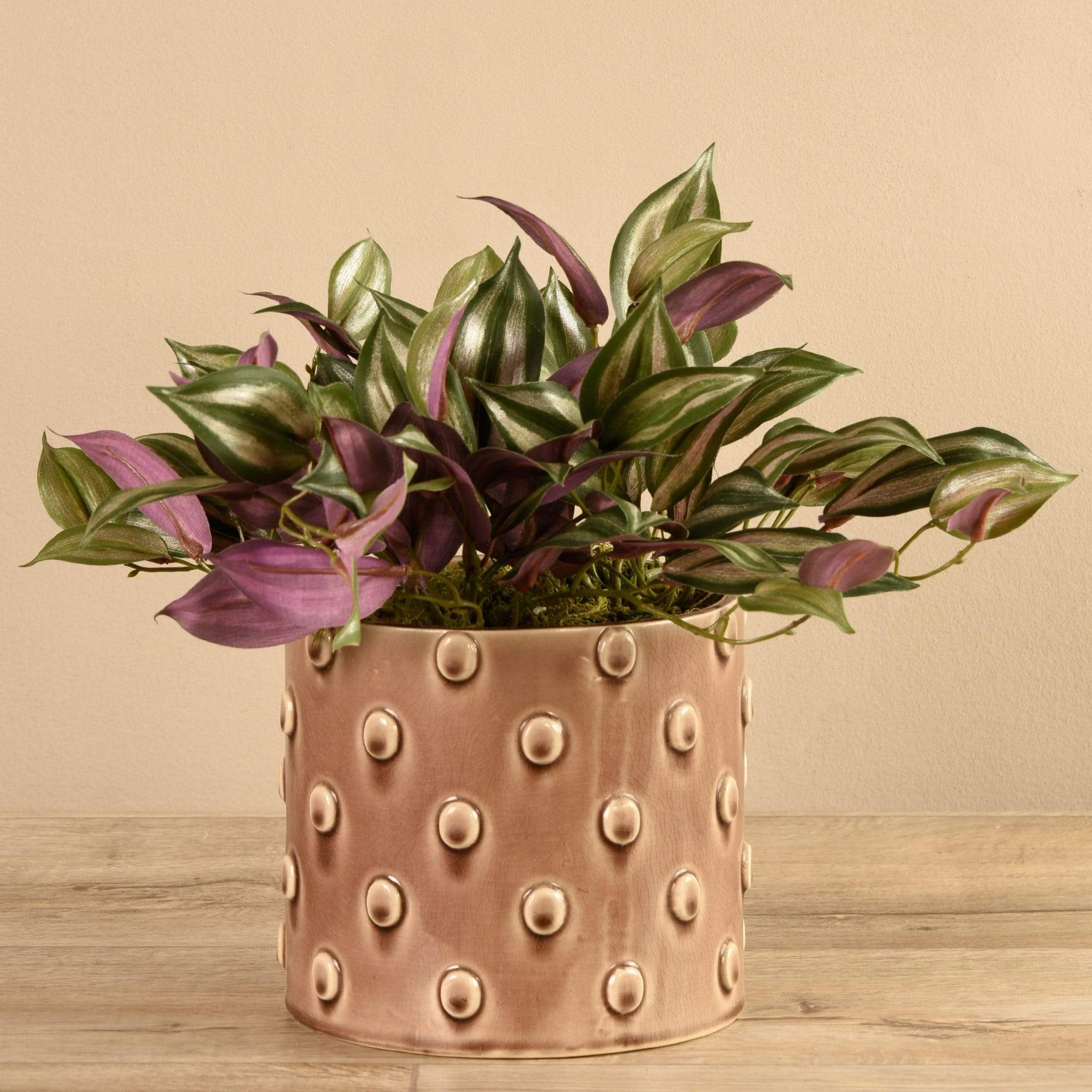 Artificial Potted Dark Vanilla Leaf Plant - Image 3