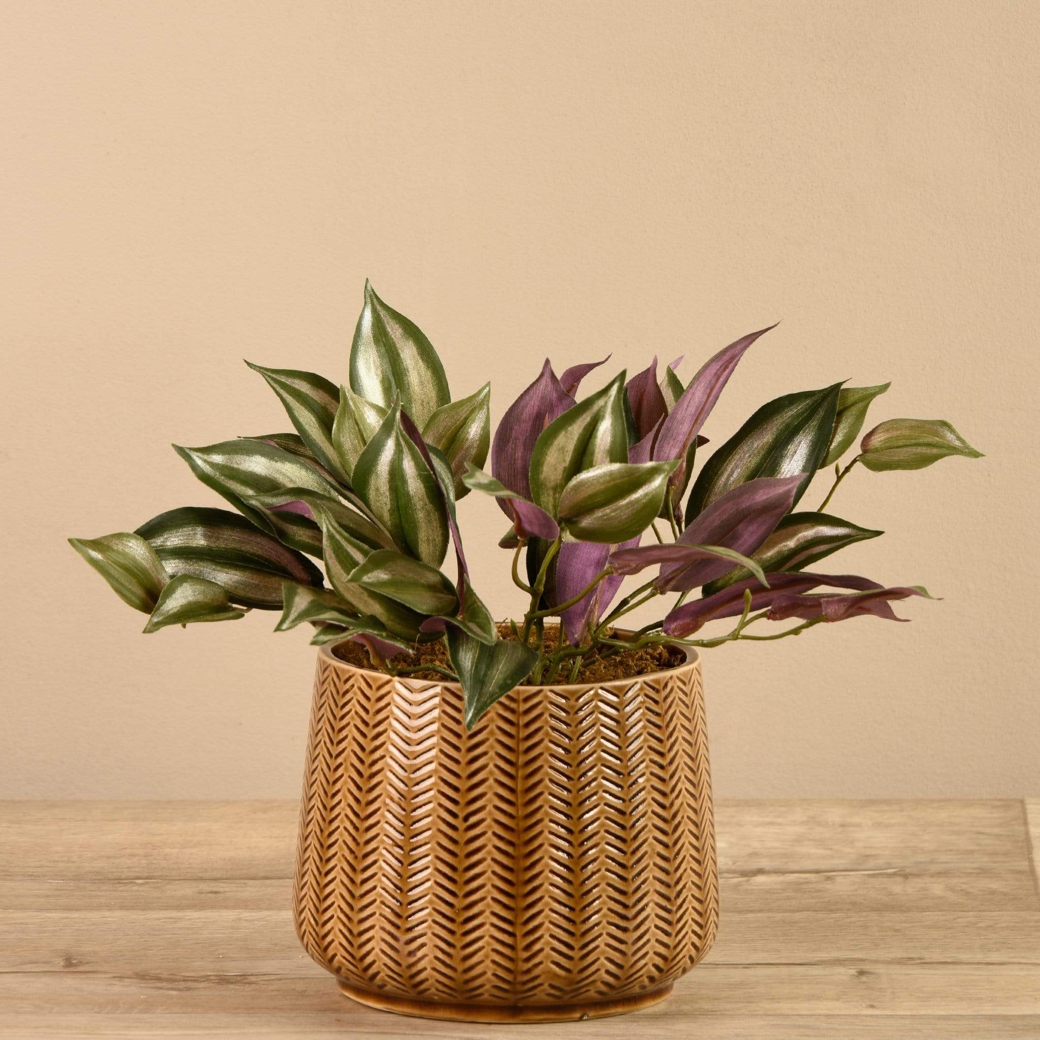 Artificial Potted Dark Vanilla Leaf Plant - Image 2