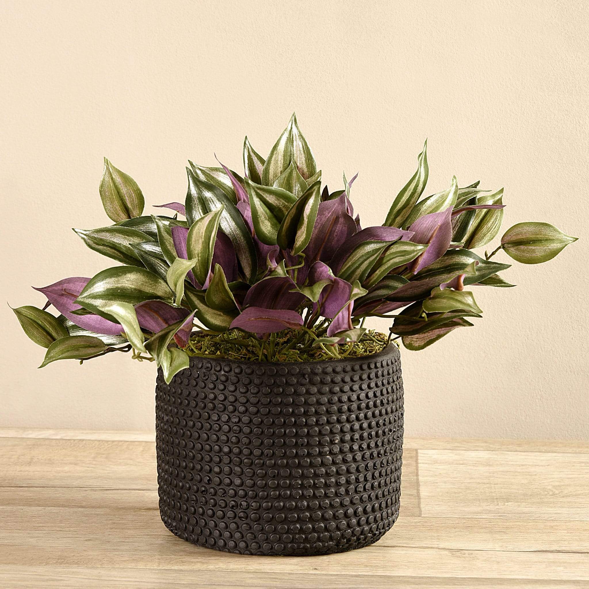 Artificial Potted Dark Vanilla Leaf Plant - Image 3