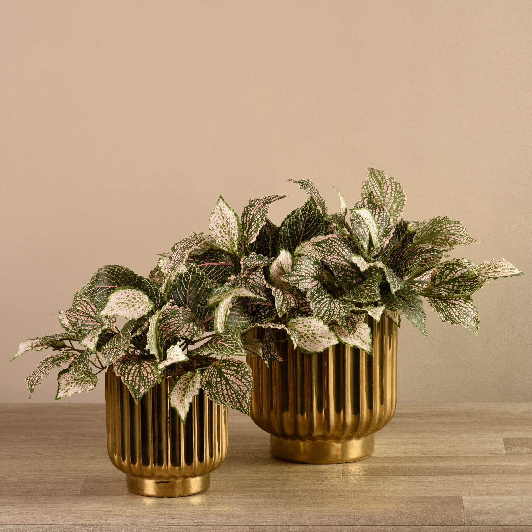 Artificial Potted Fittonia