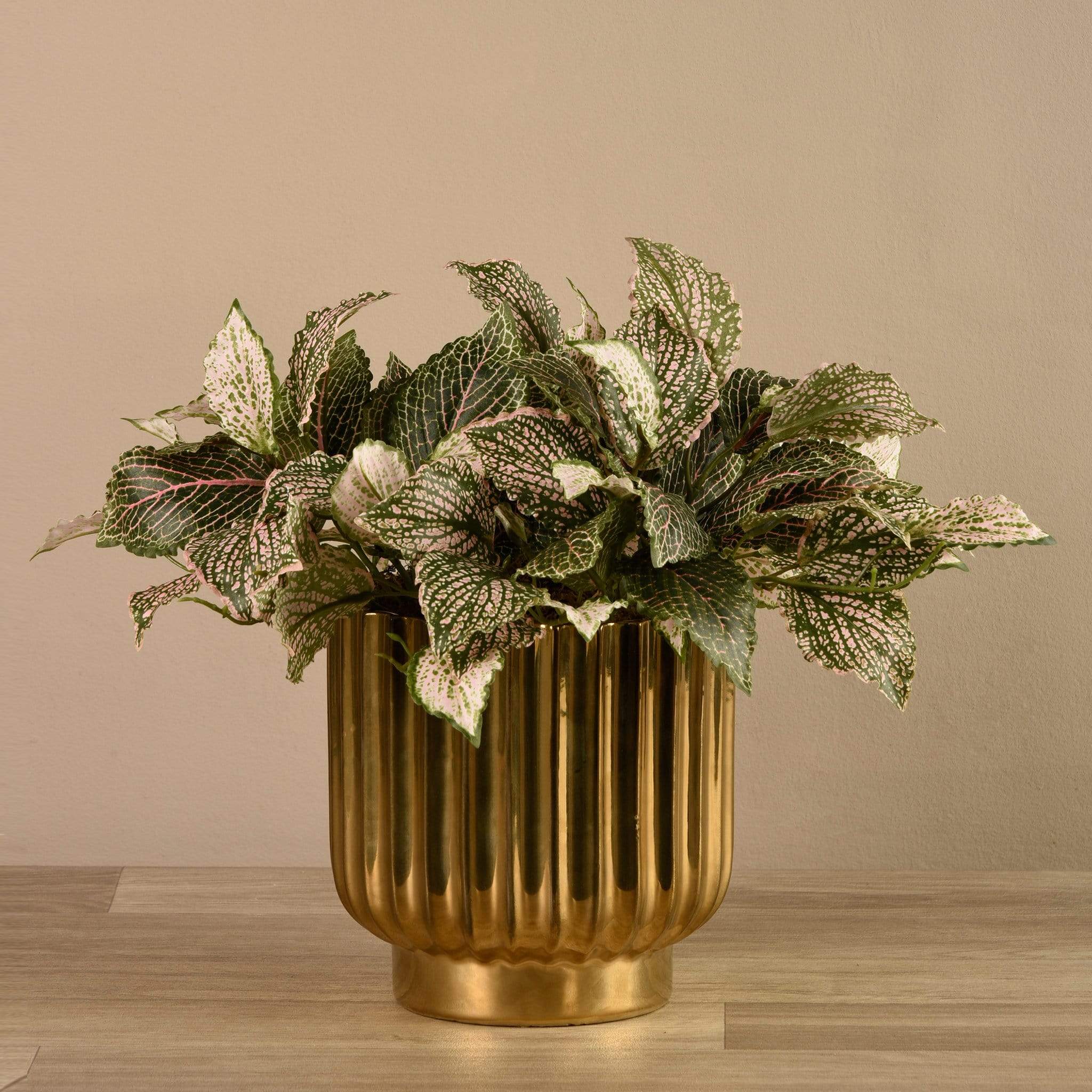 Artificial Potted Fittonia - Image 3