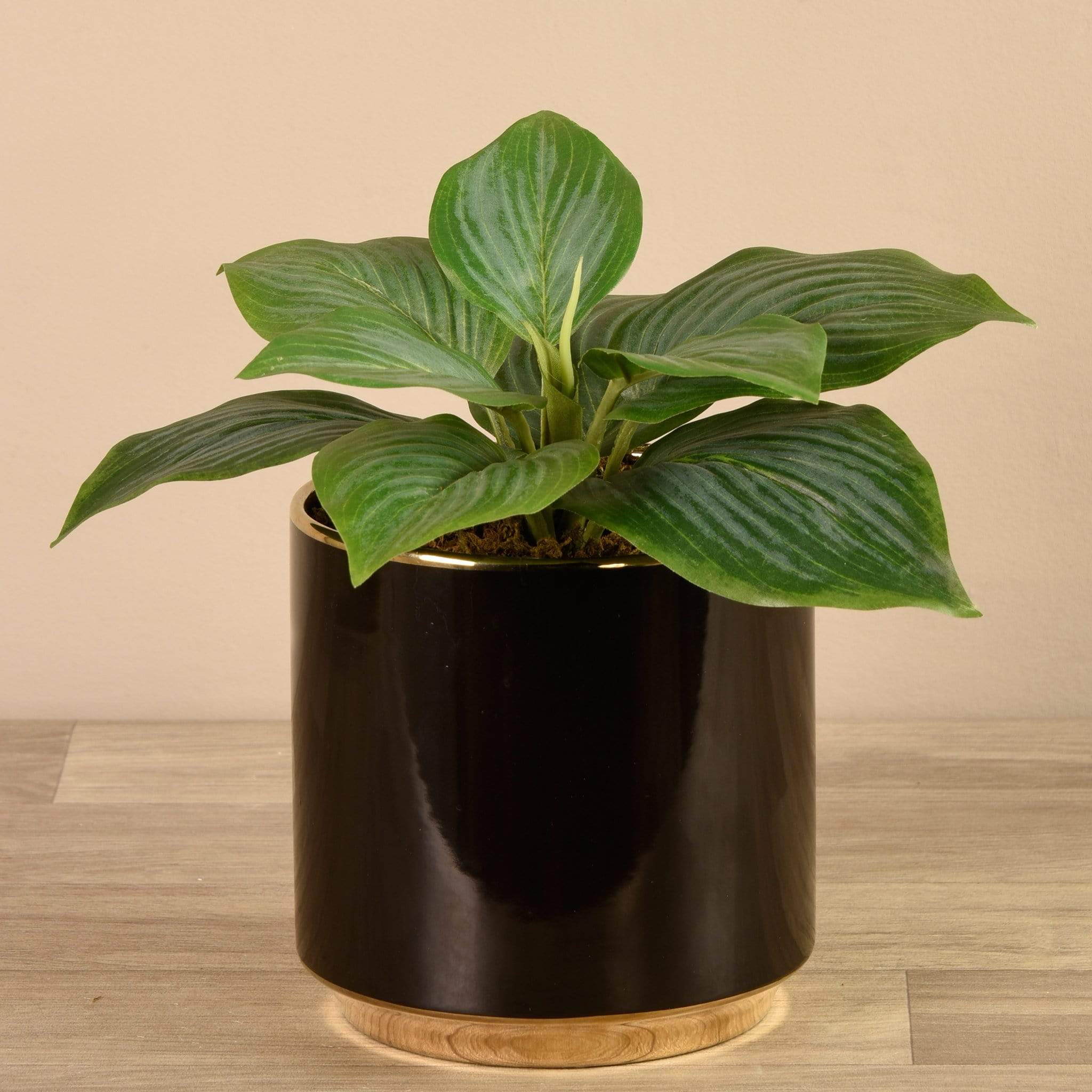 Artificial Potted Hosta