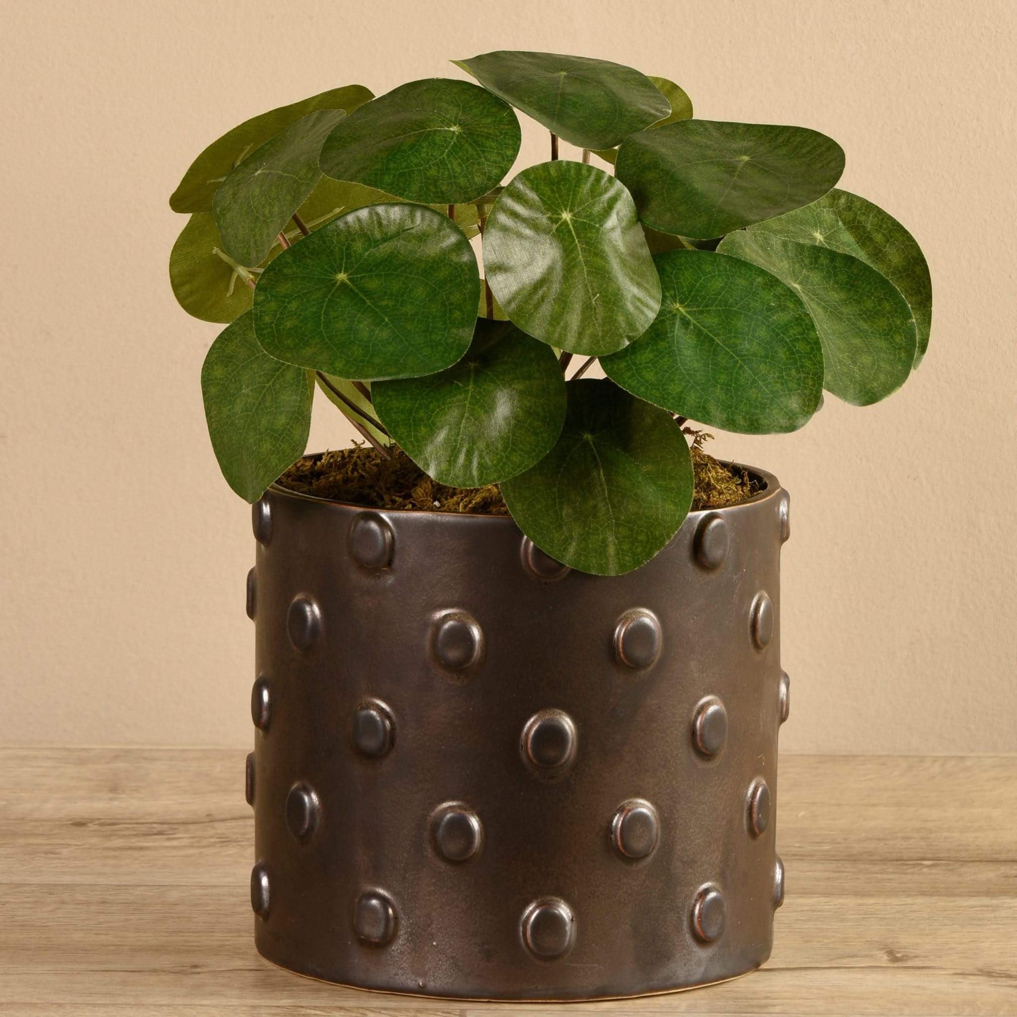 Artificial Potted Pancake Plant - Image 3