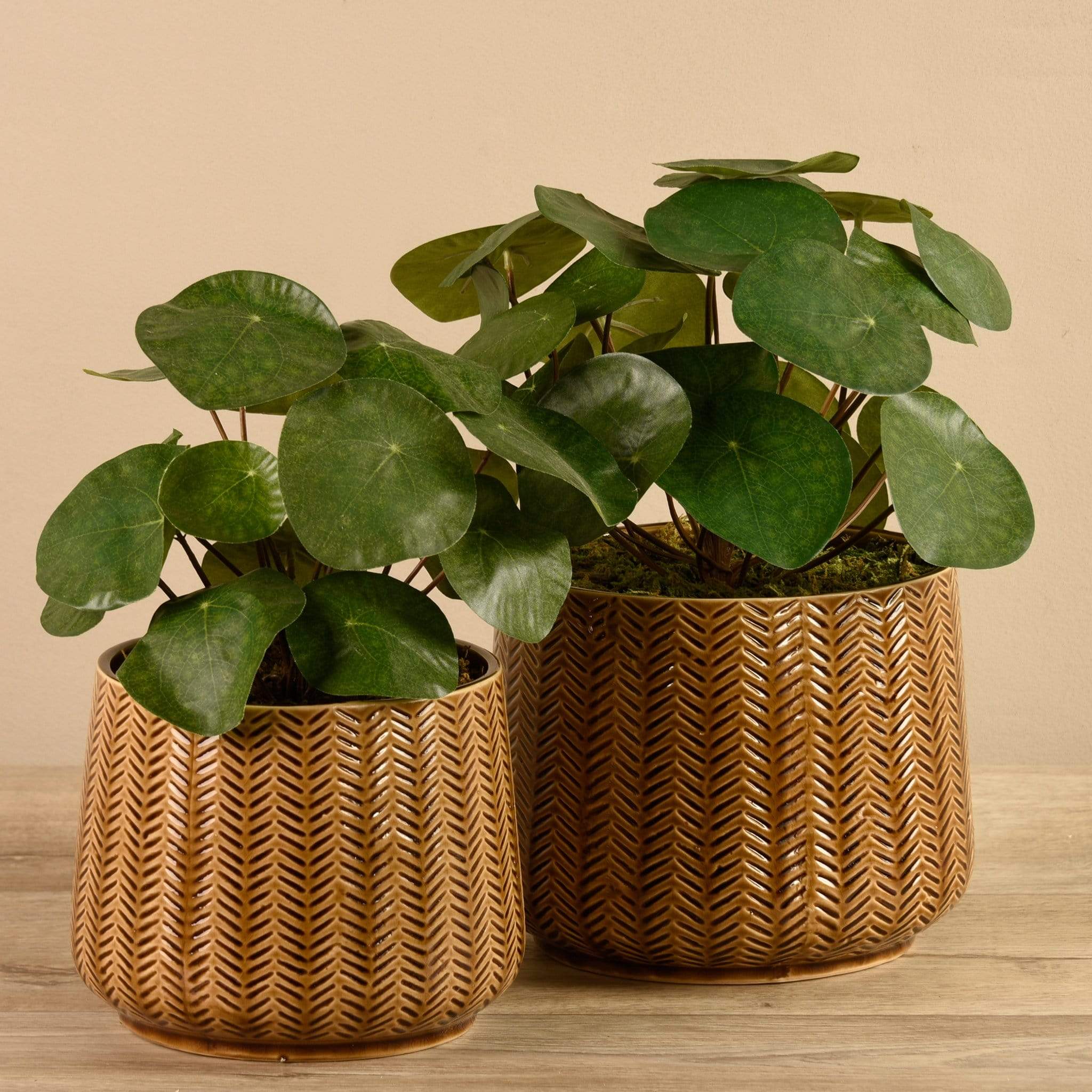 Artificial Potted Pancake Plant