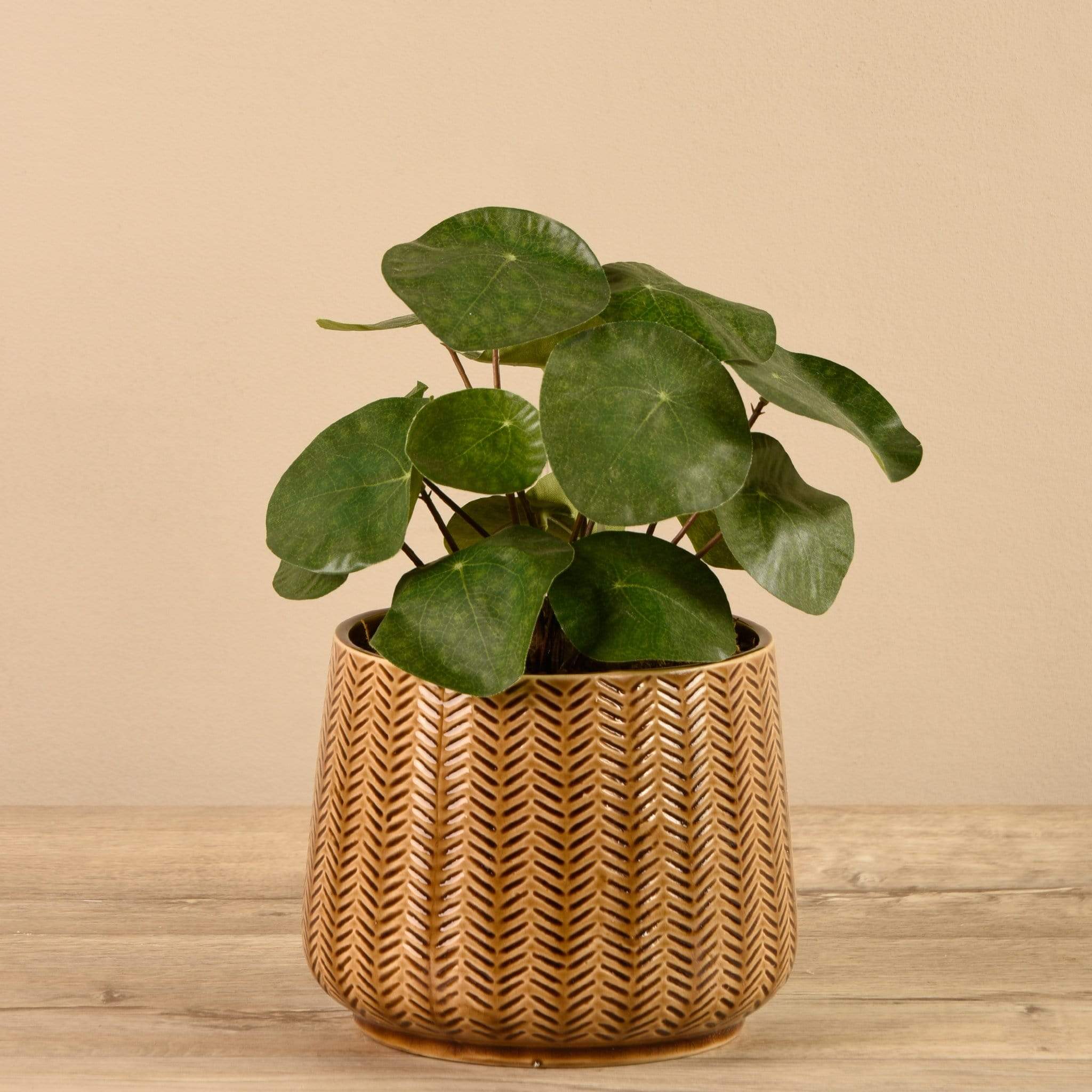 Artificial Potted Pancake Plant - Image 2