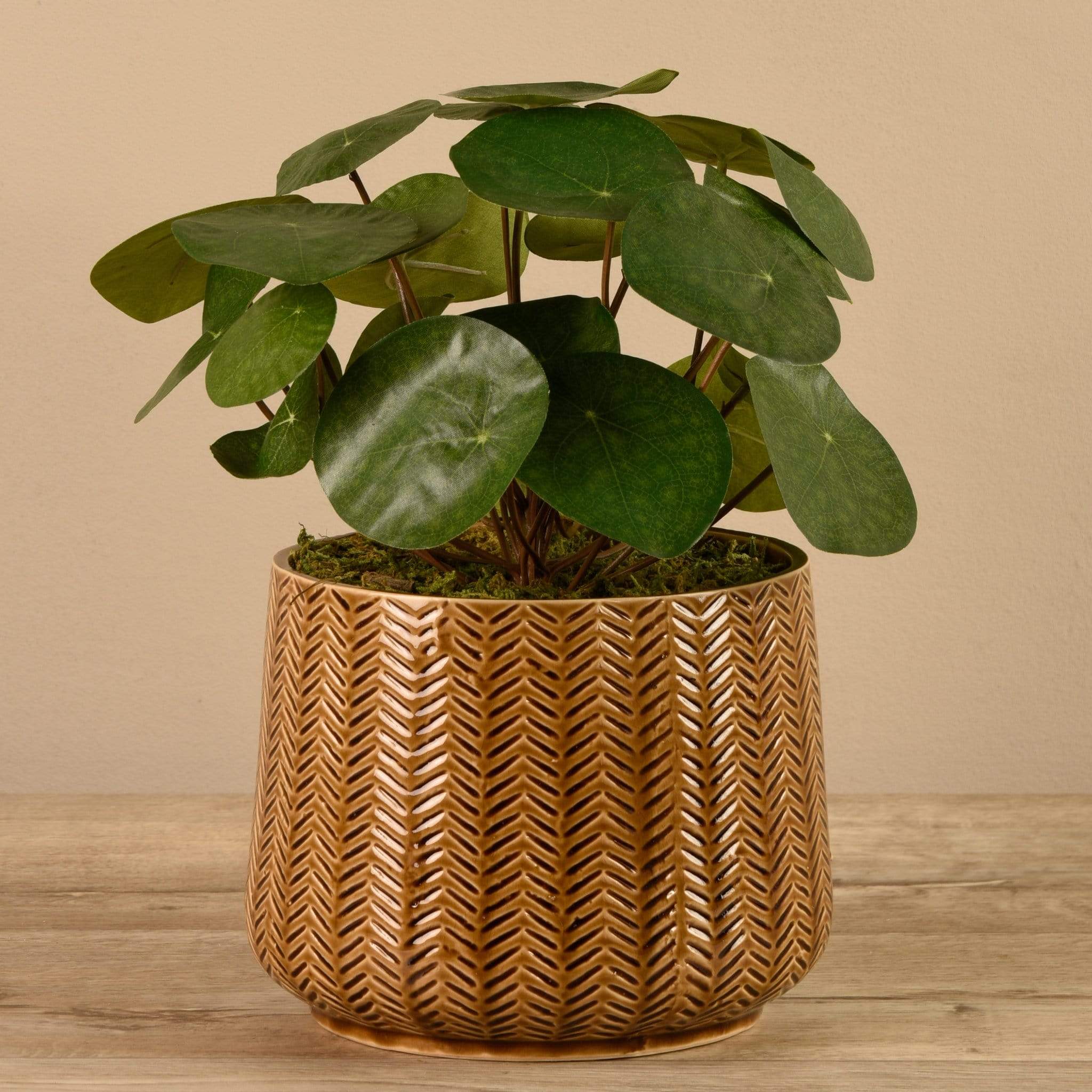 Artificial Potted Pancake Plant - Image 3