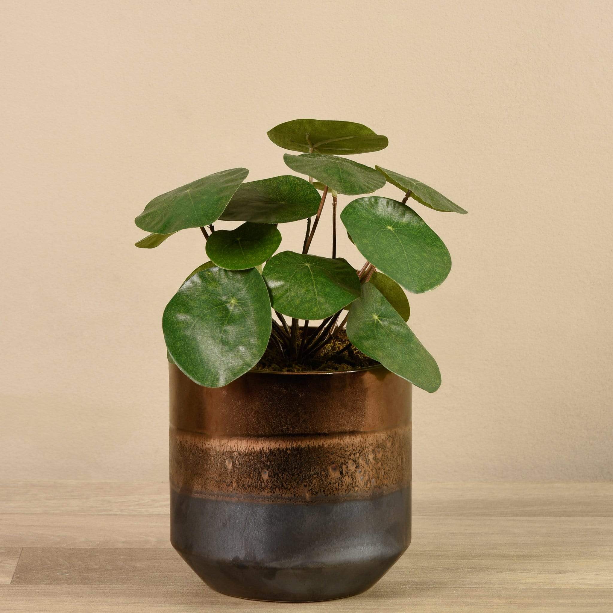 Artificial Potted Pancake Plant - Image 2