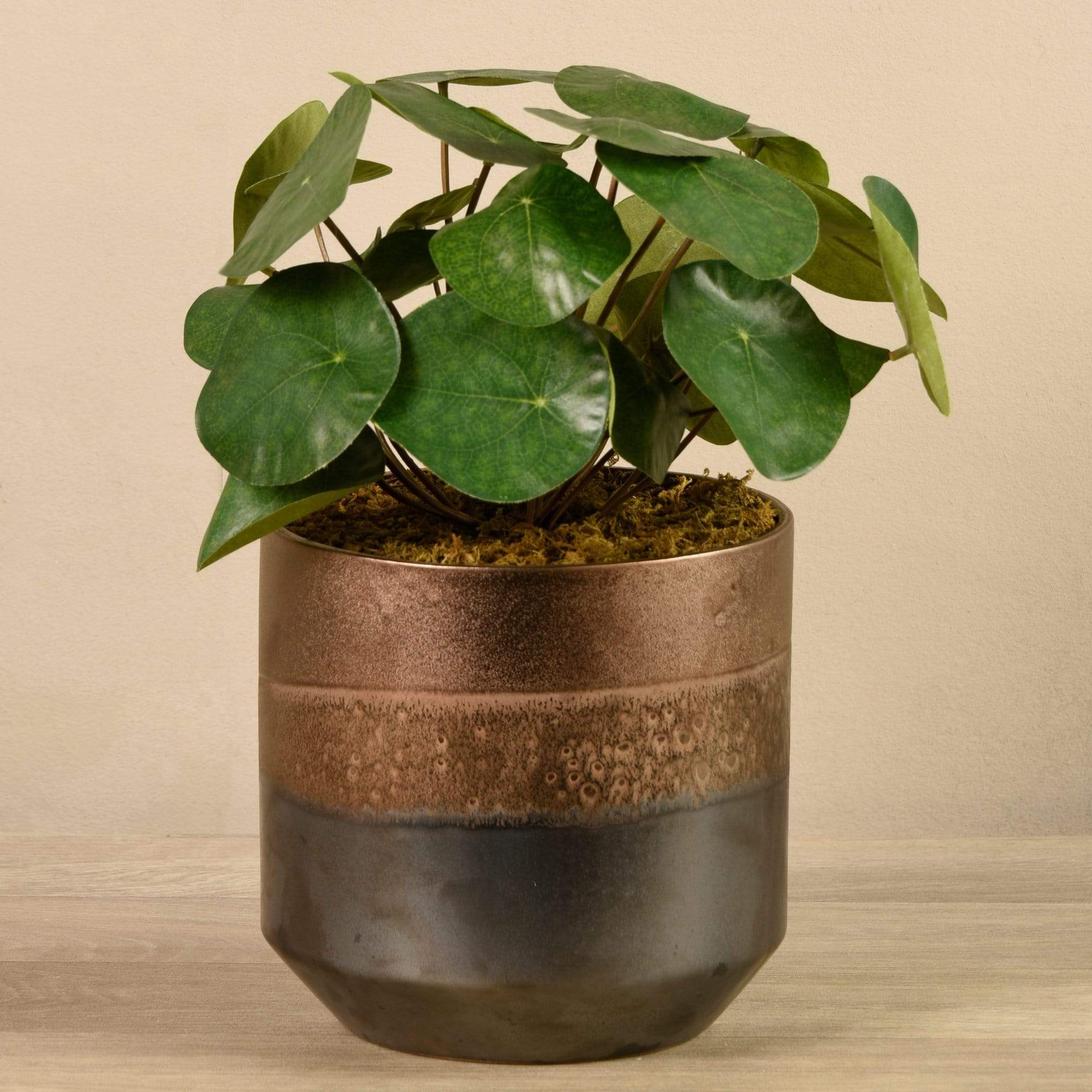 Artificial Potted Pancake Plant - Image 3
