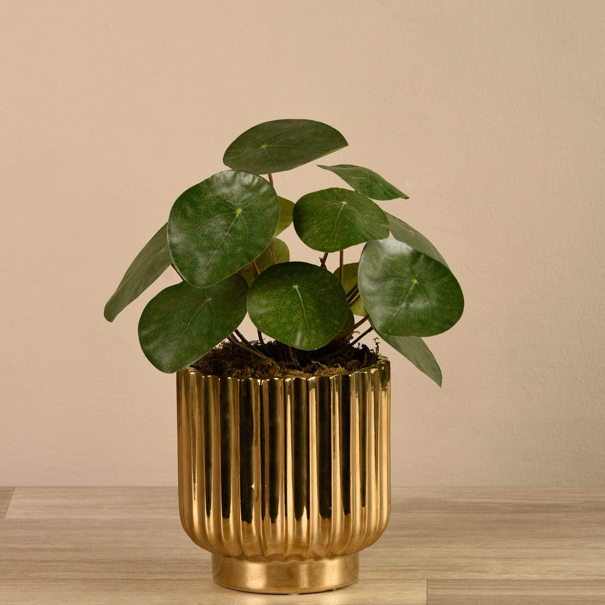 Artificial Potted Pancake Plant - Image 2