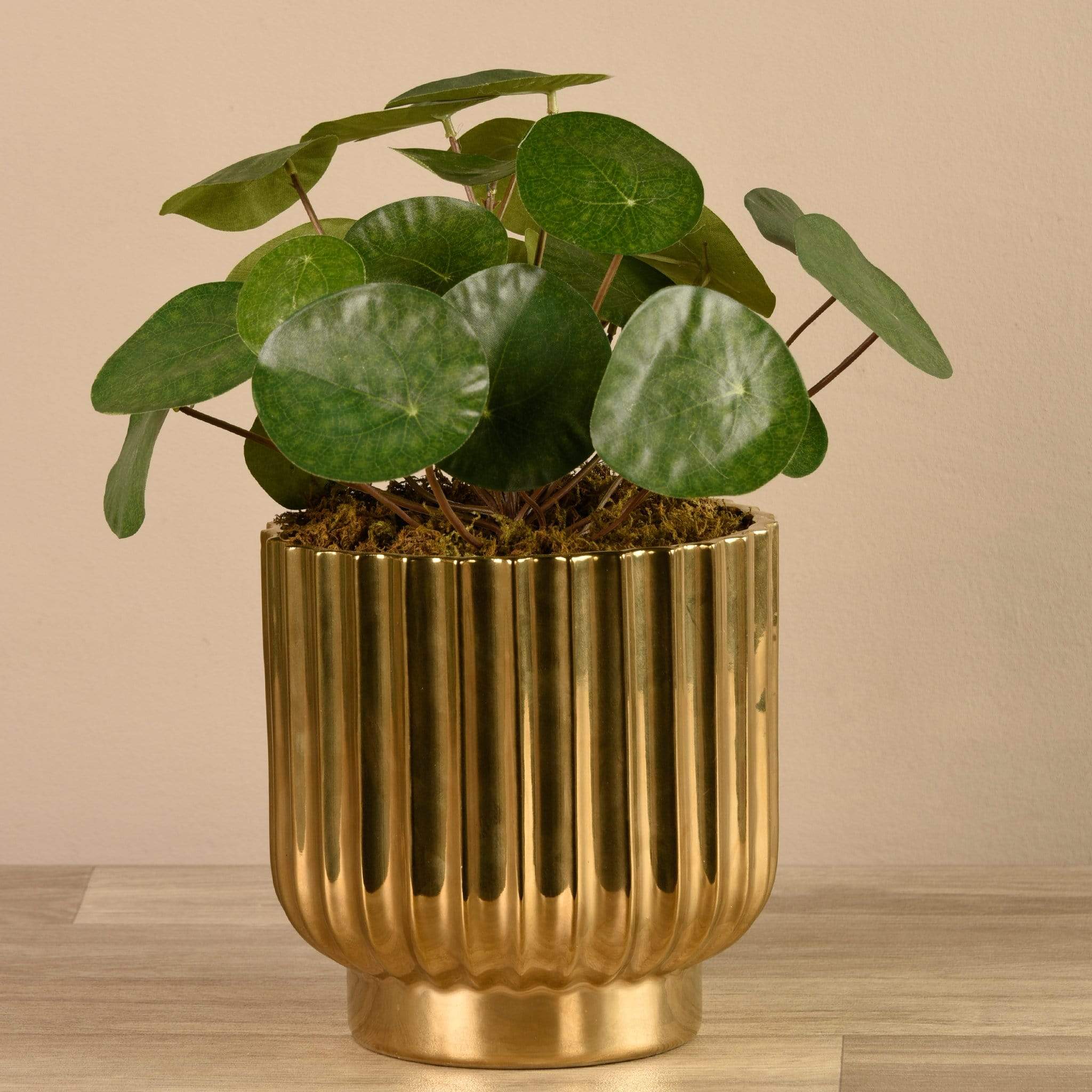 Artificial Potted Pancake Plant - Image 3