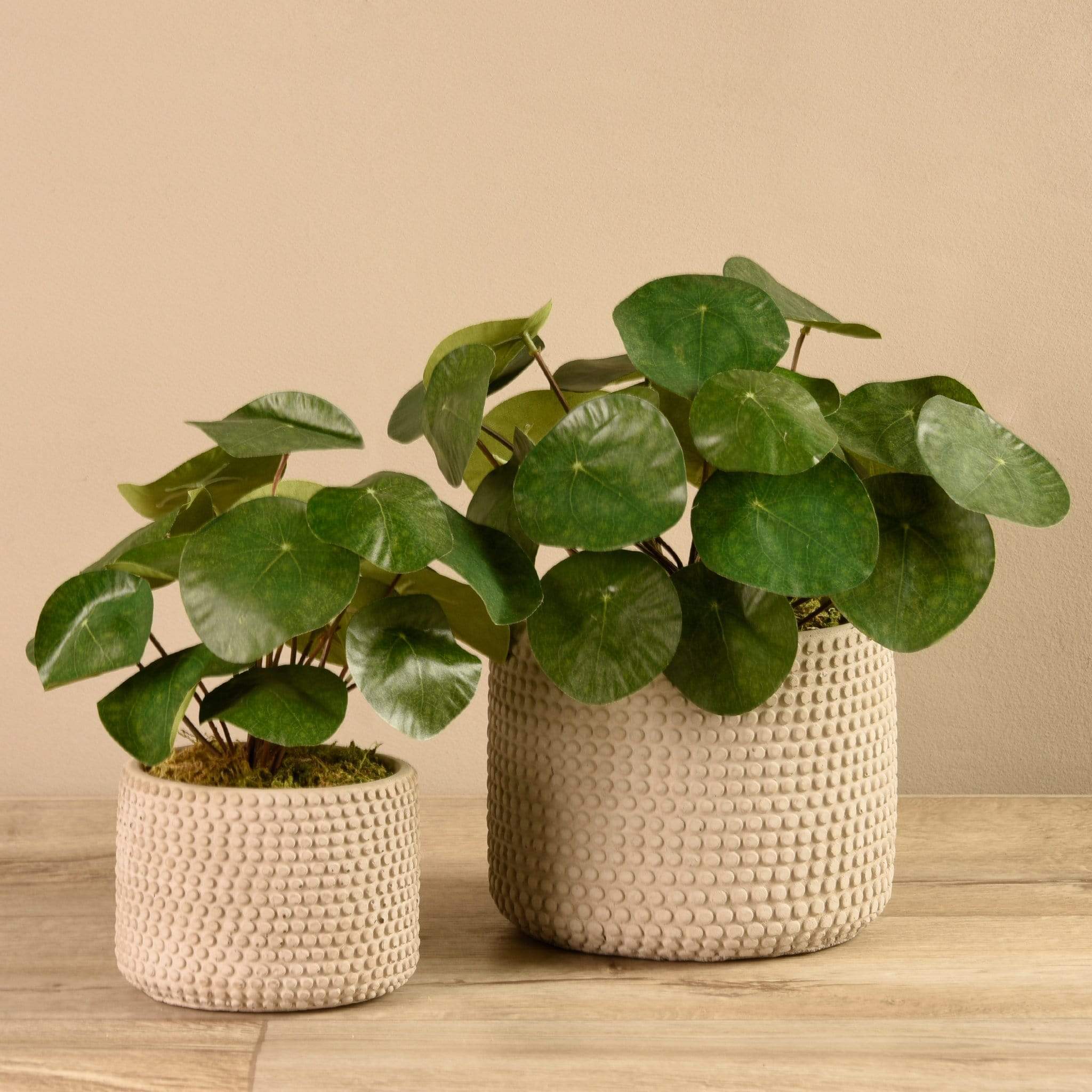 Artificial Potted Pancake Plant
