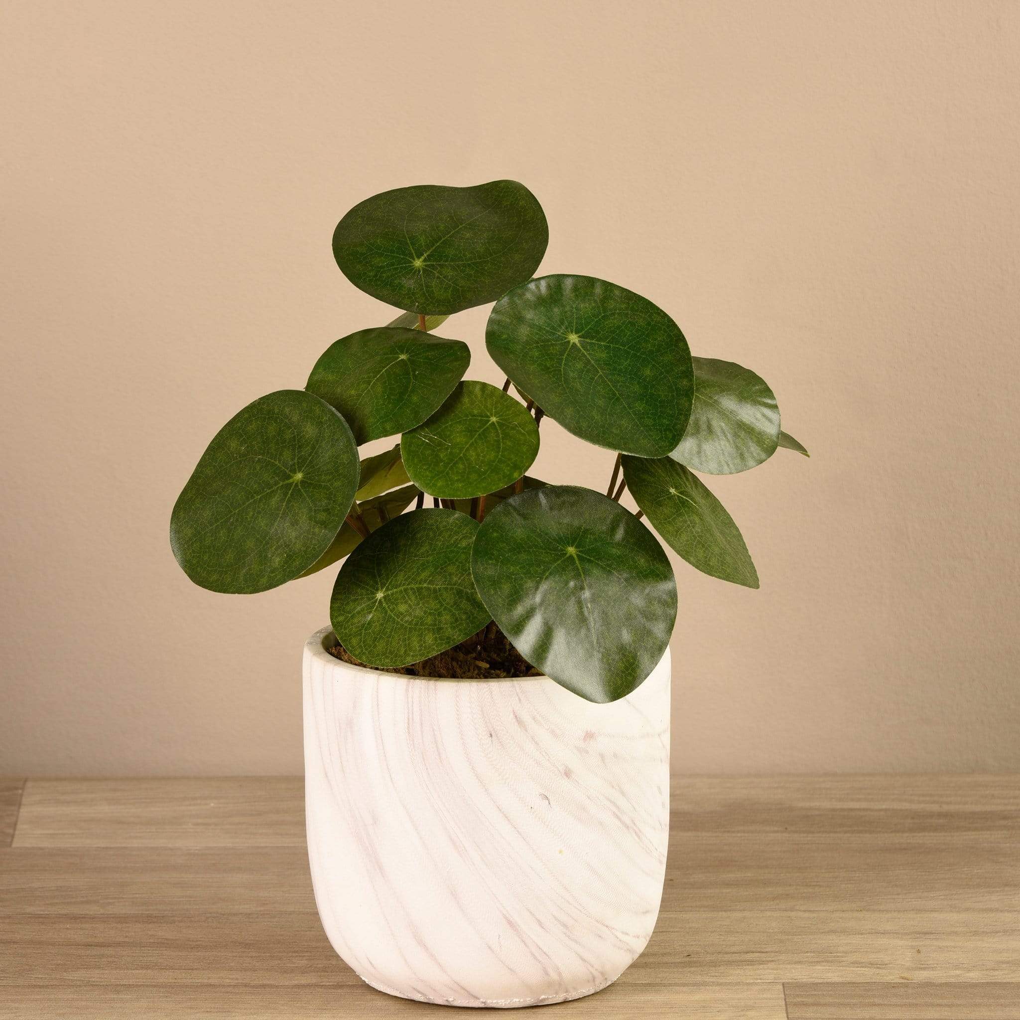 Artificial Potted Pancake Plant - Image 2