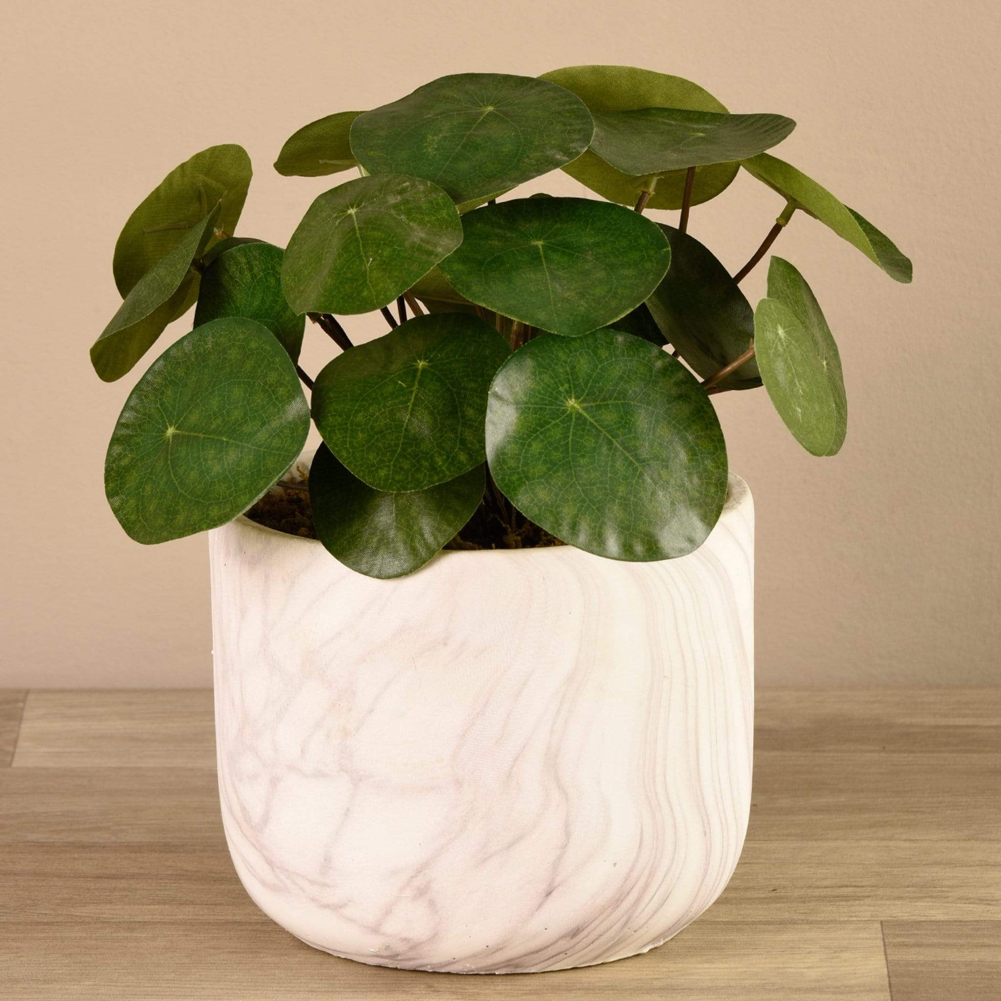 Artificial Potted Pancake Plant - Image 3