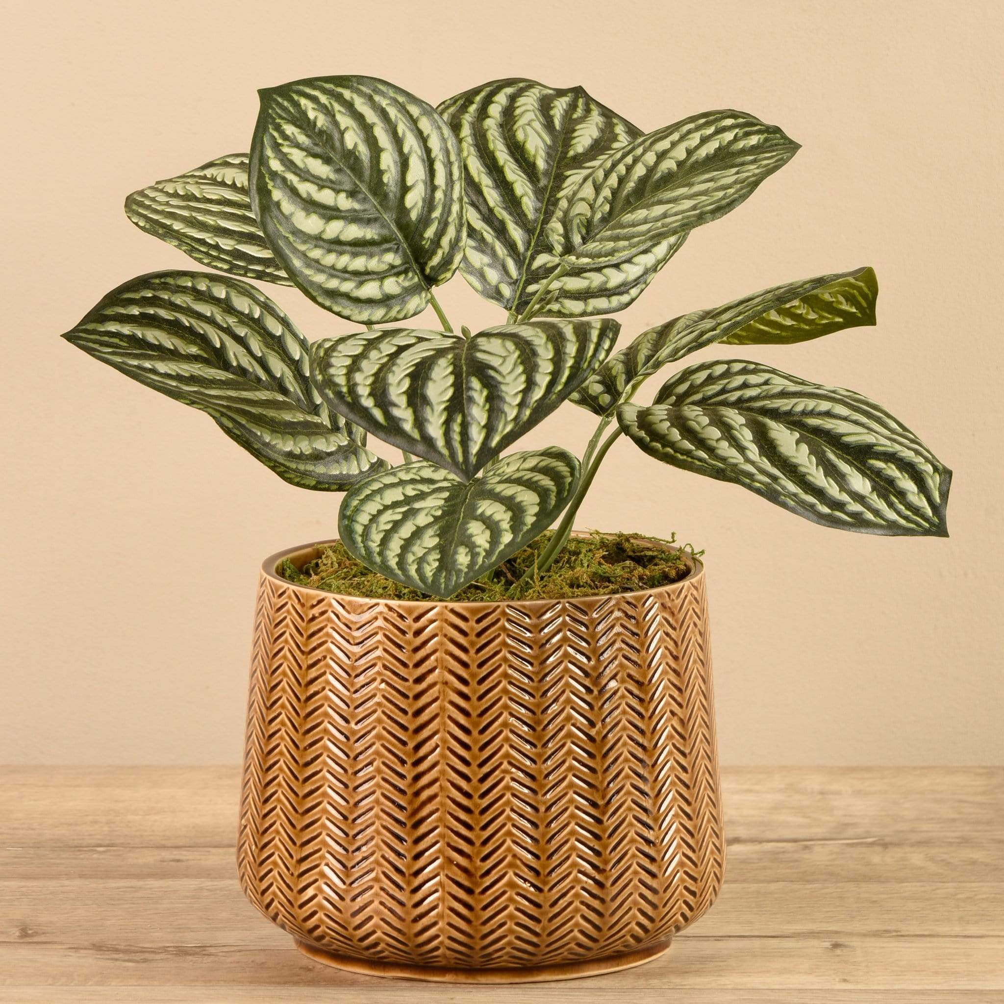 Artificial Potted Peperomia