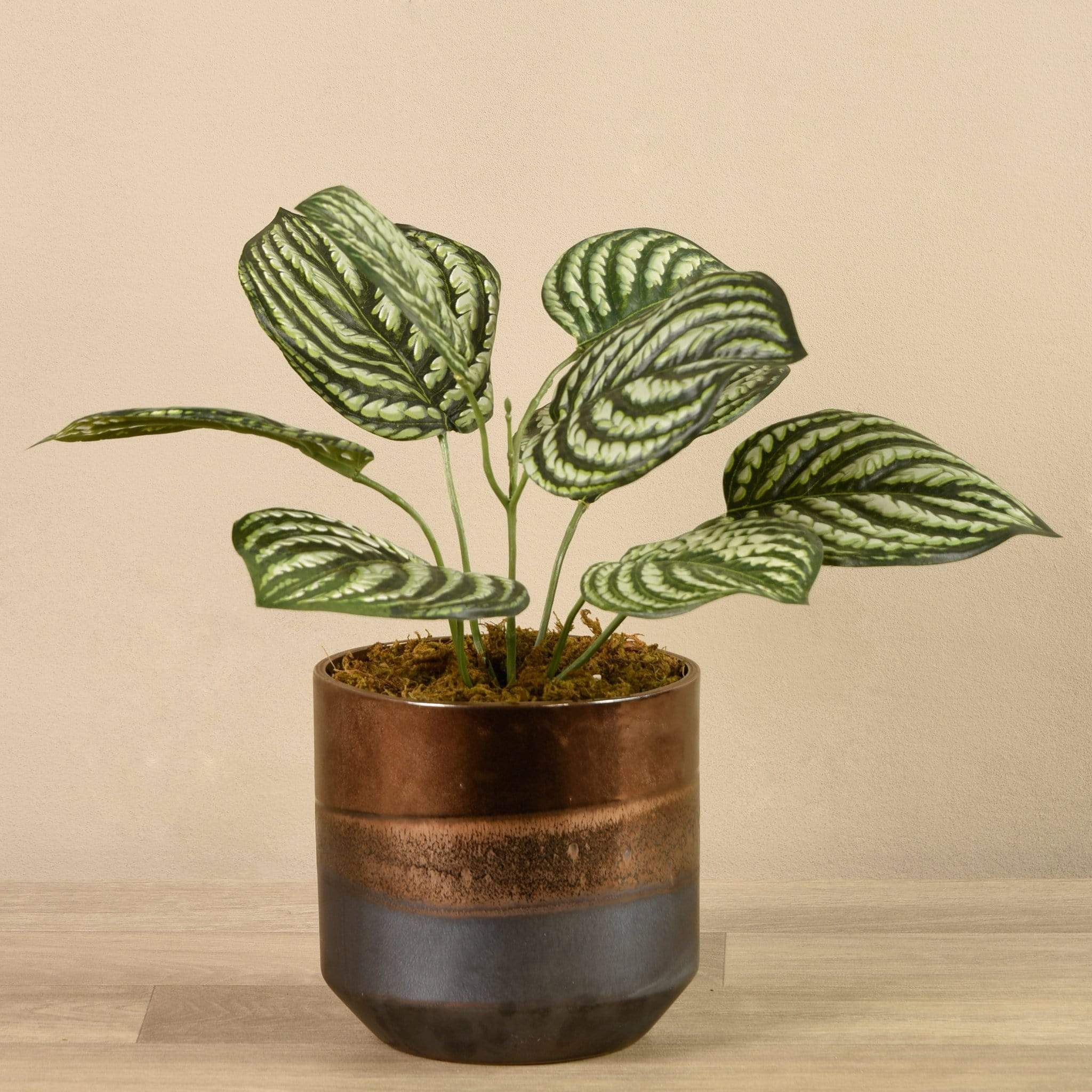 Artificial Potted Peperomia