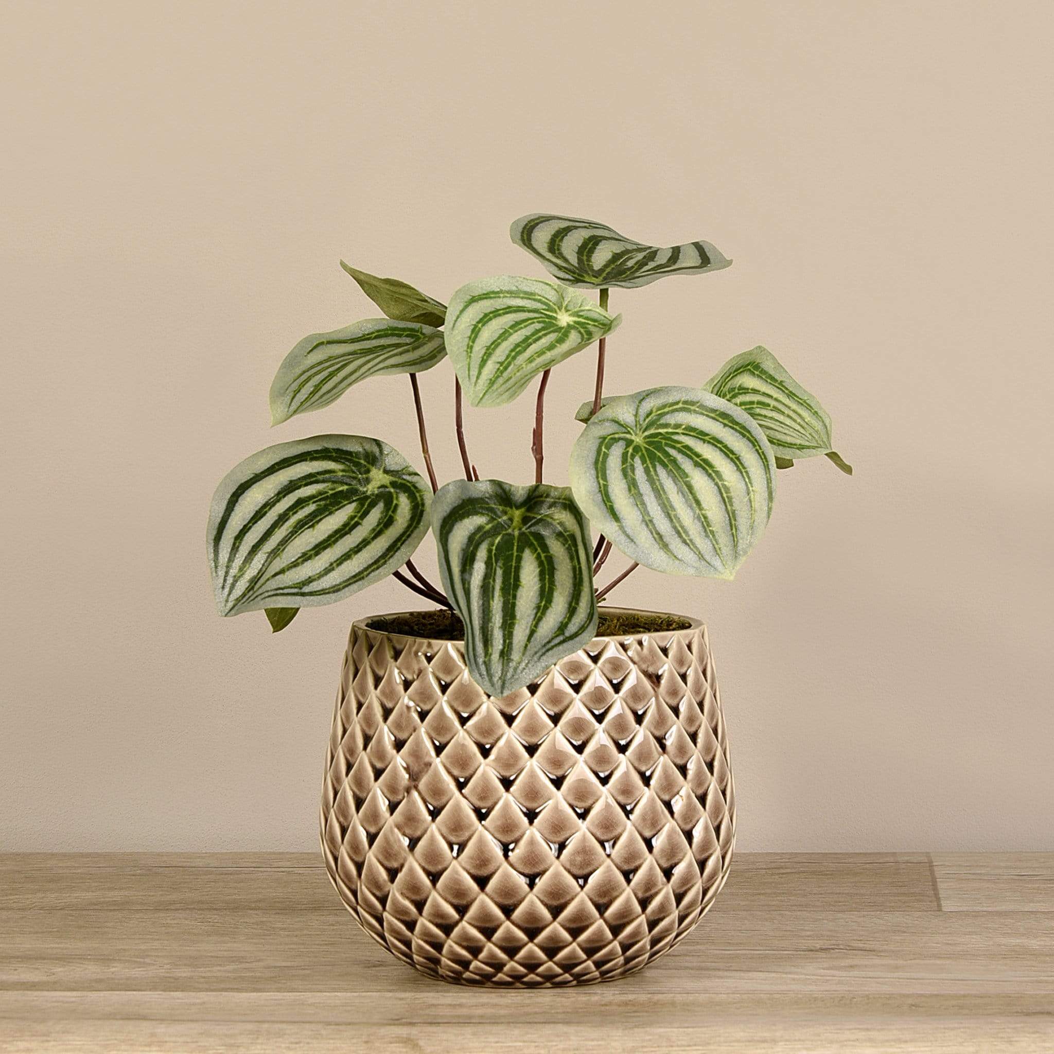Artificial Potted Peperomia