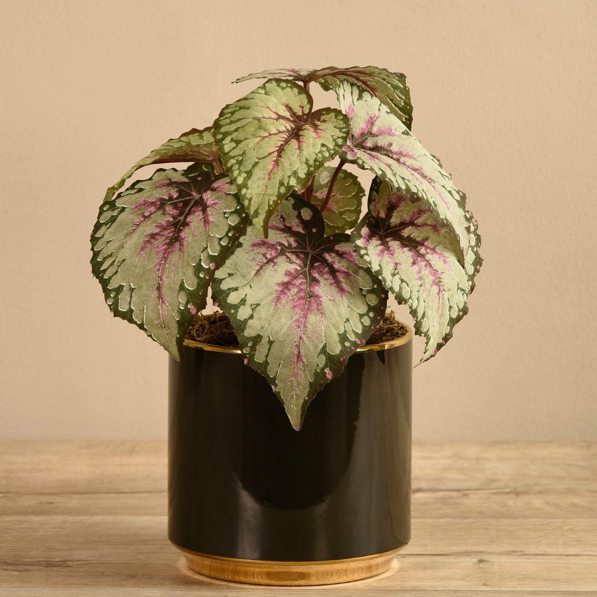 Artificial Potted Rex Begonia
