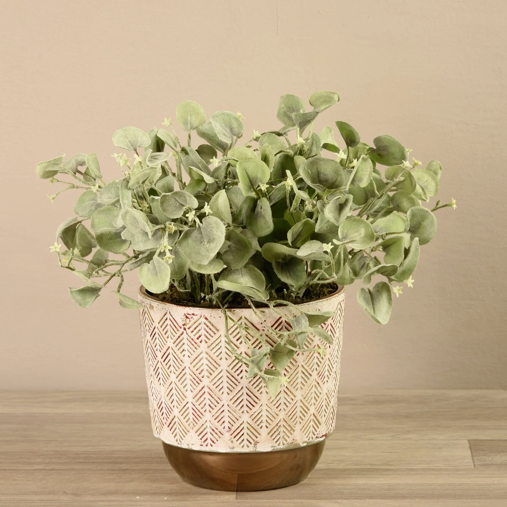 Potted Silver Fall Plant - Image 3