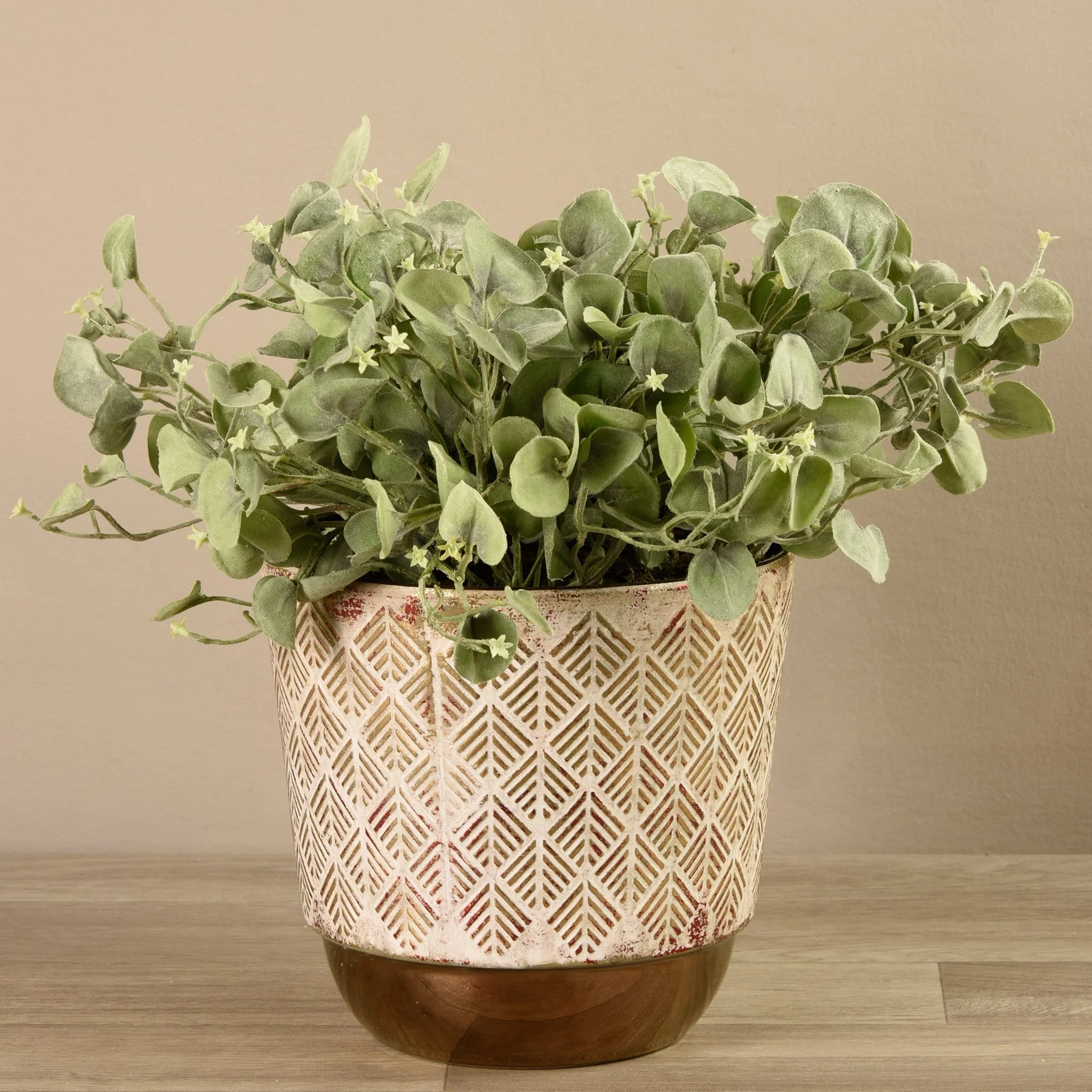 Potted Silver Fall Plant - Image 4
